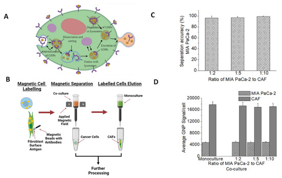 Potential of Gold Nanoparticles in Current Radiotherapy Using a Co ...