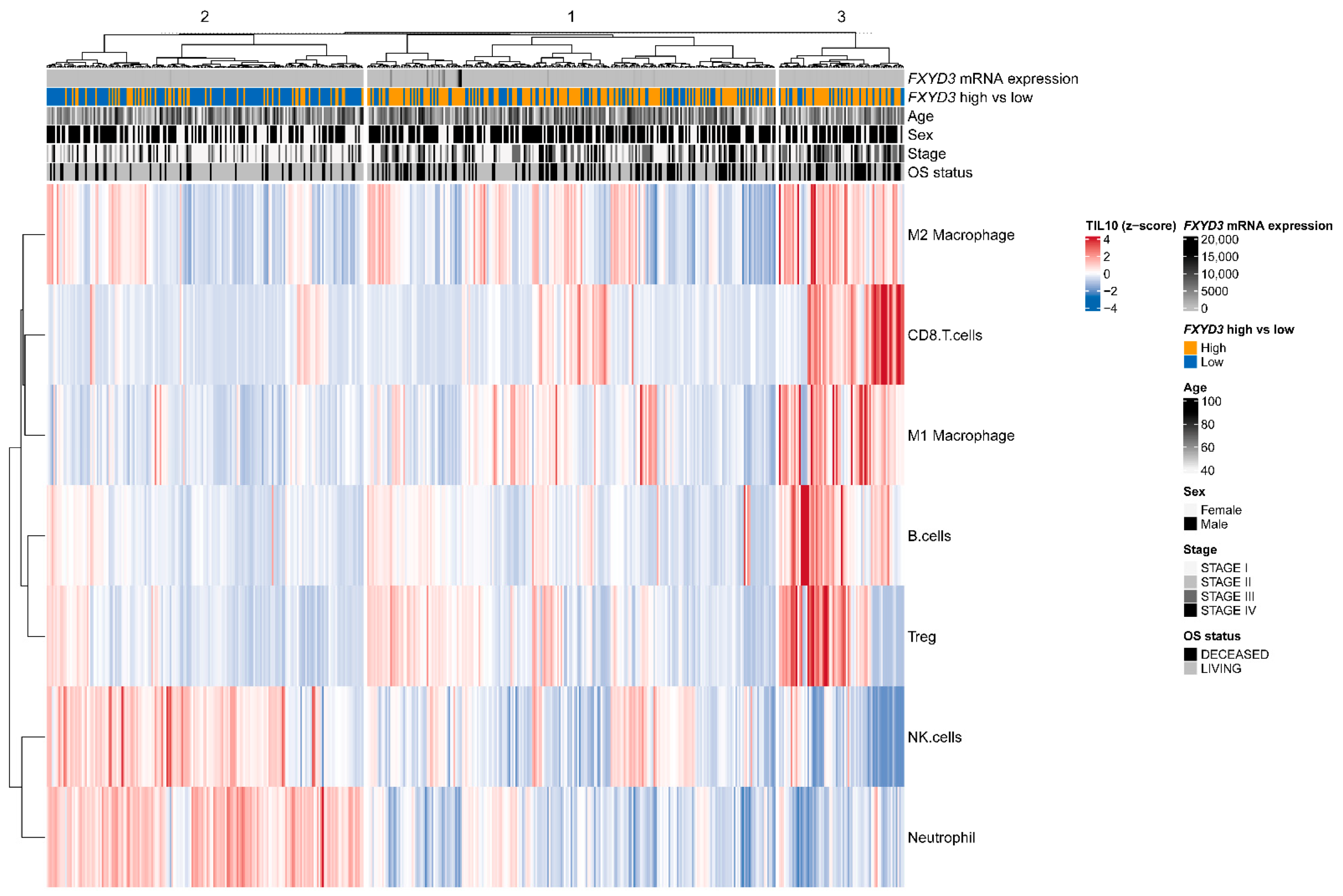 Cancers 14 03596 g004