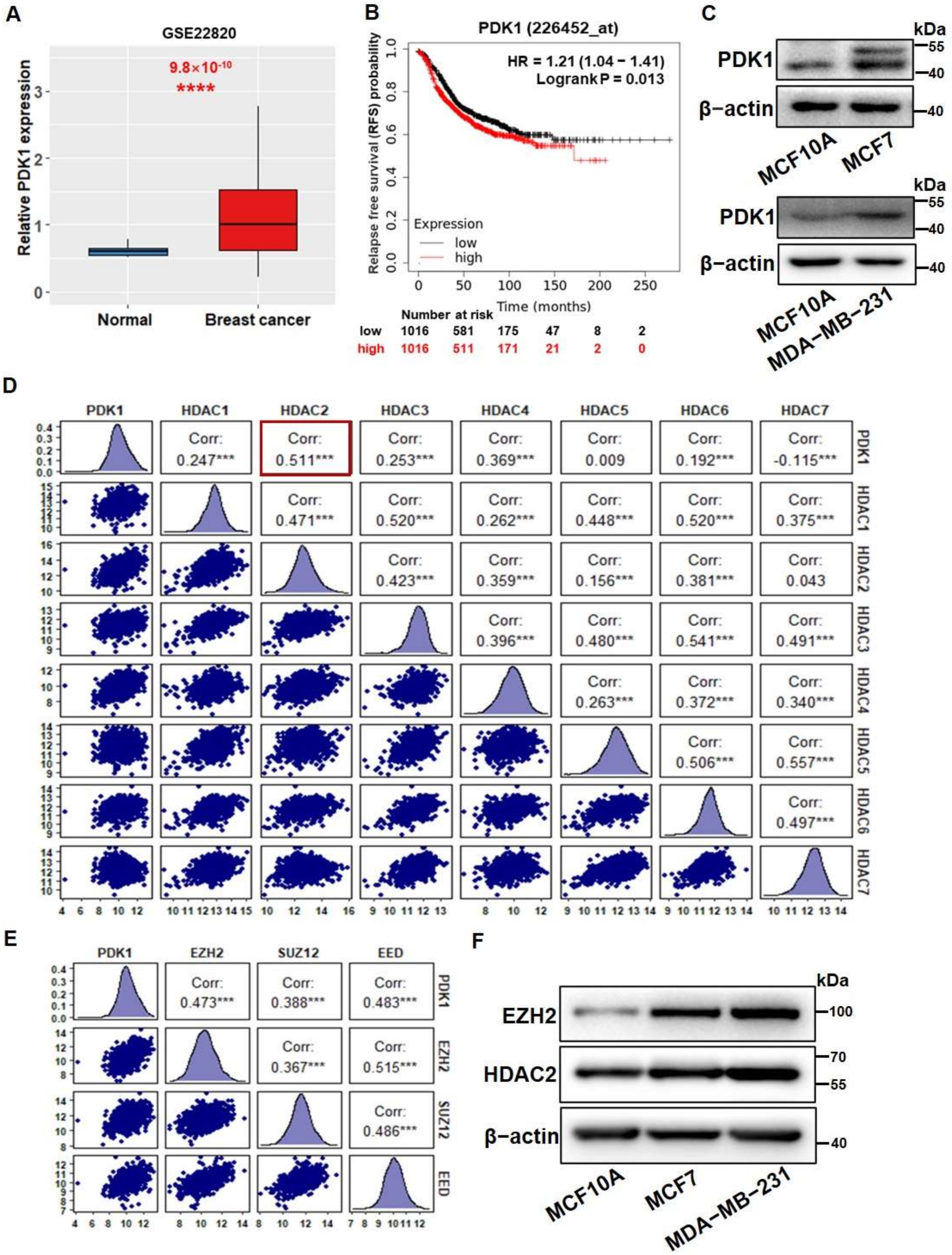 Cancers 14 03600 g001a