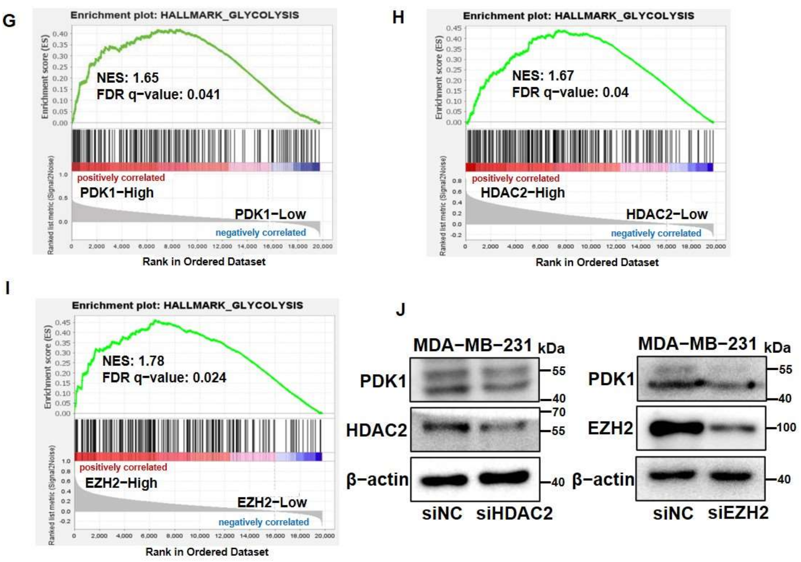 Cancers 14 03600 g001b