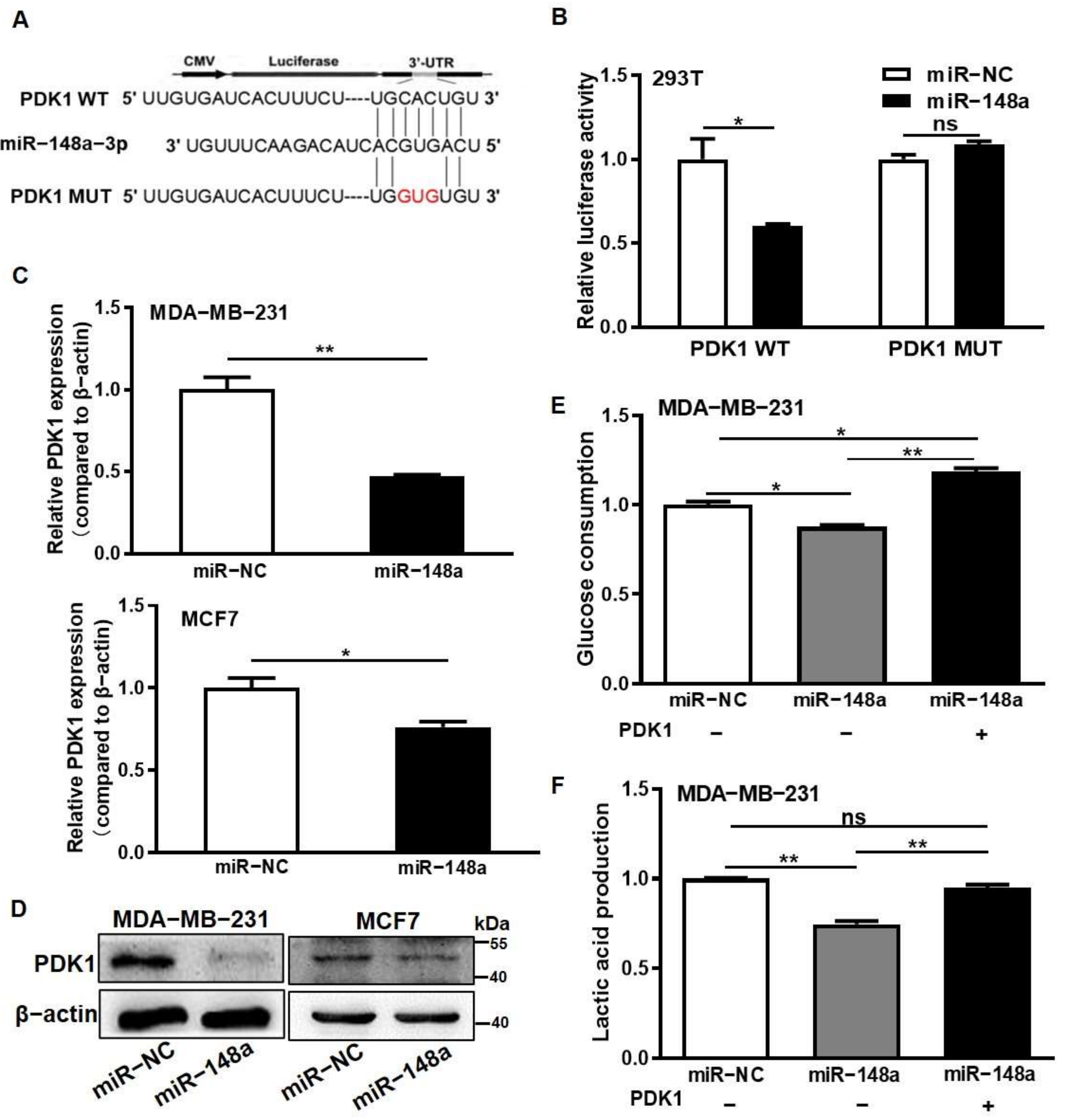 Cancers 14 03600 g002