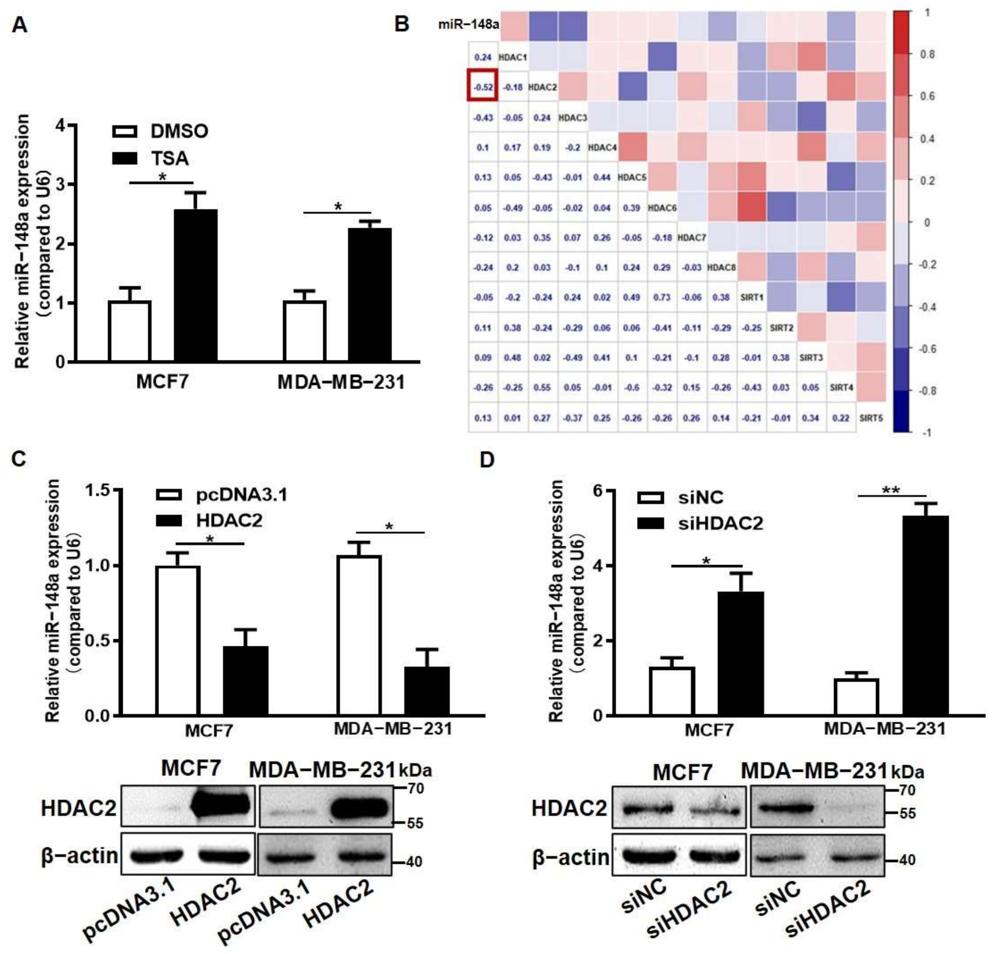 Cancers 14 03600 g003