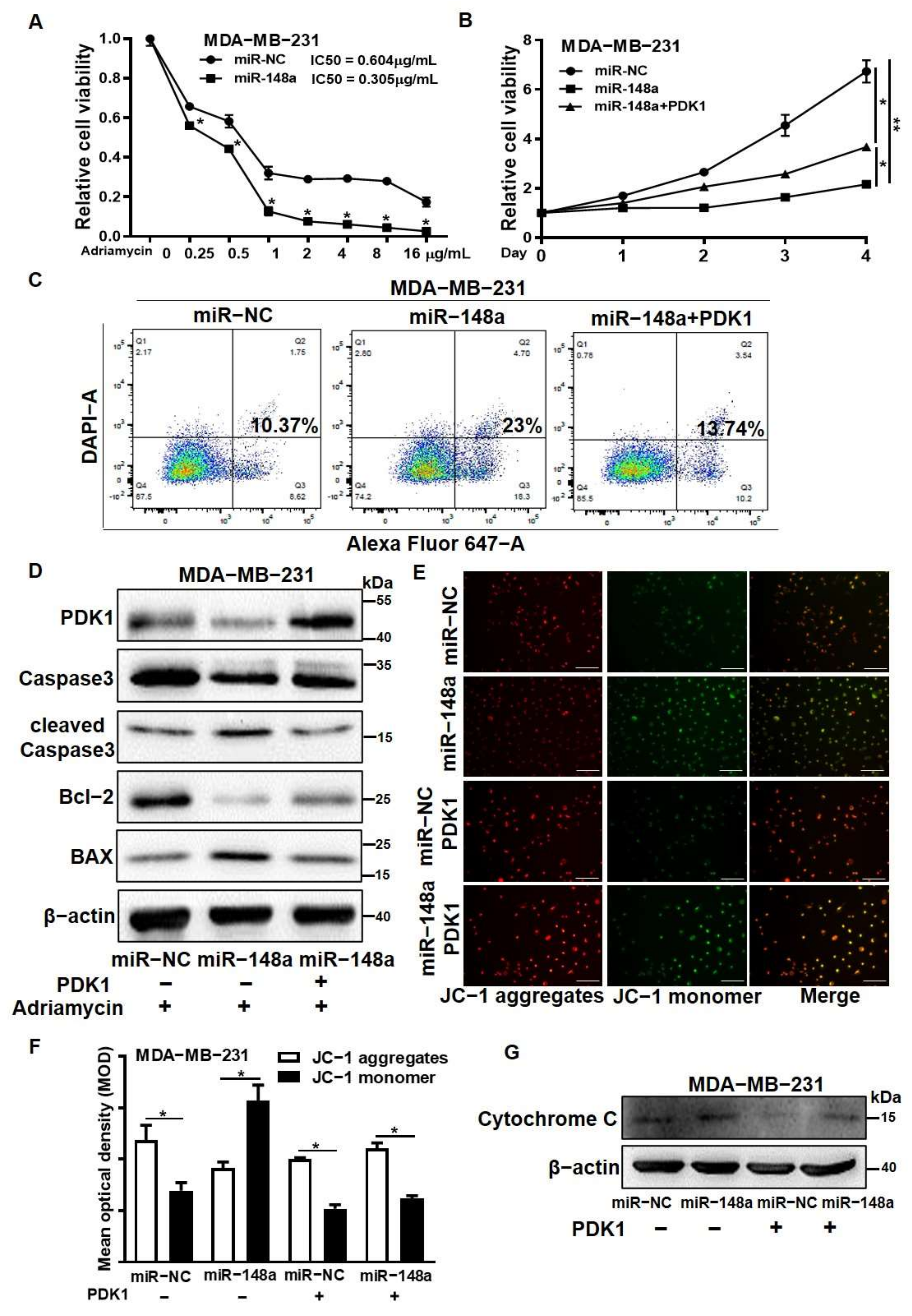 Cancers 14 03600 g006