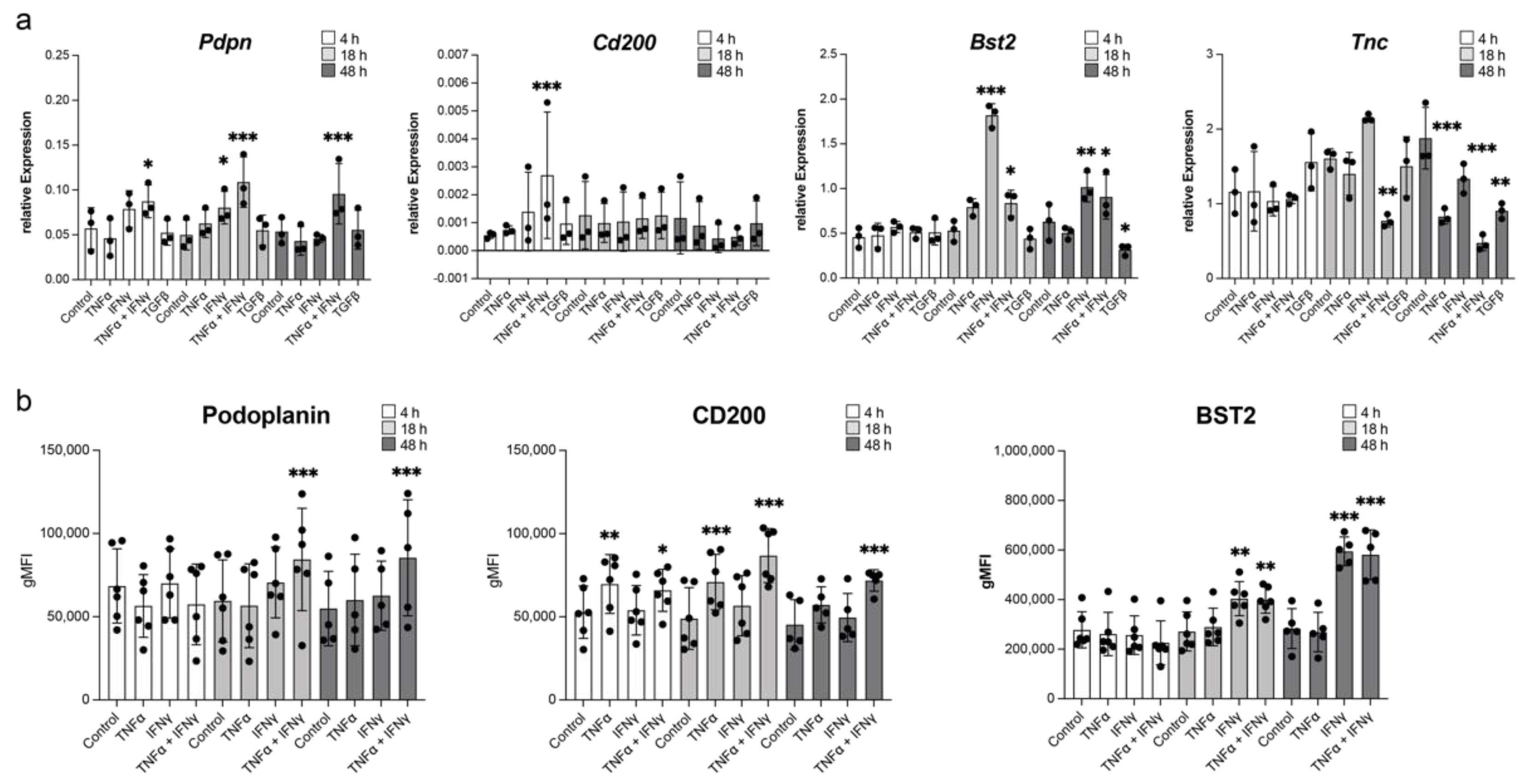 Cancers 14 03602 g003