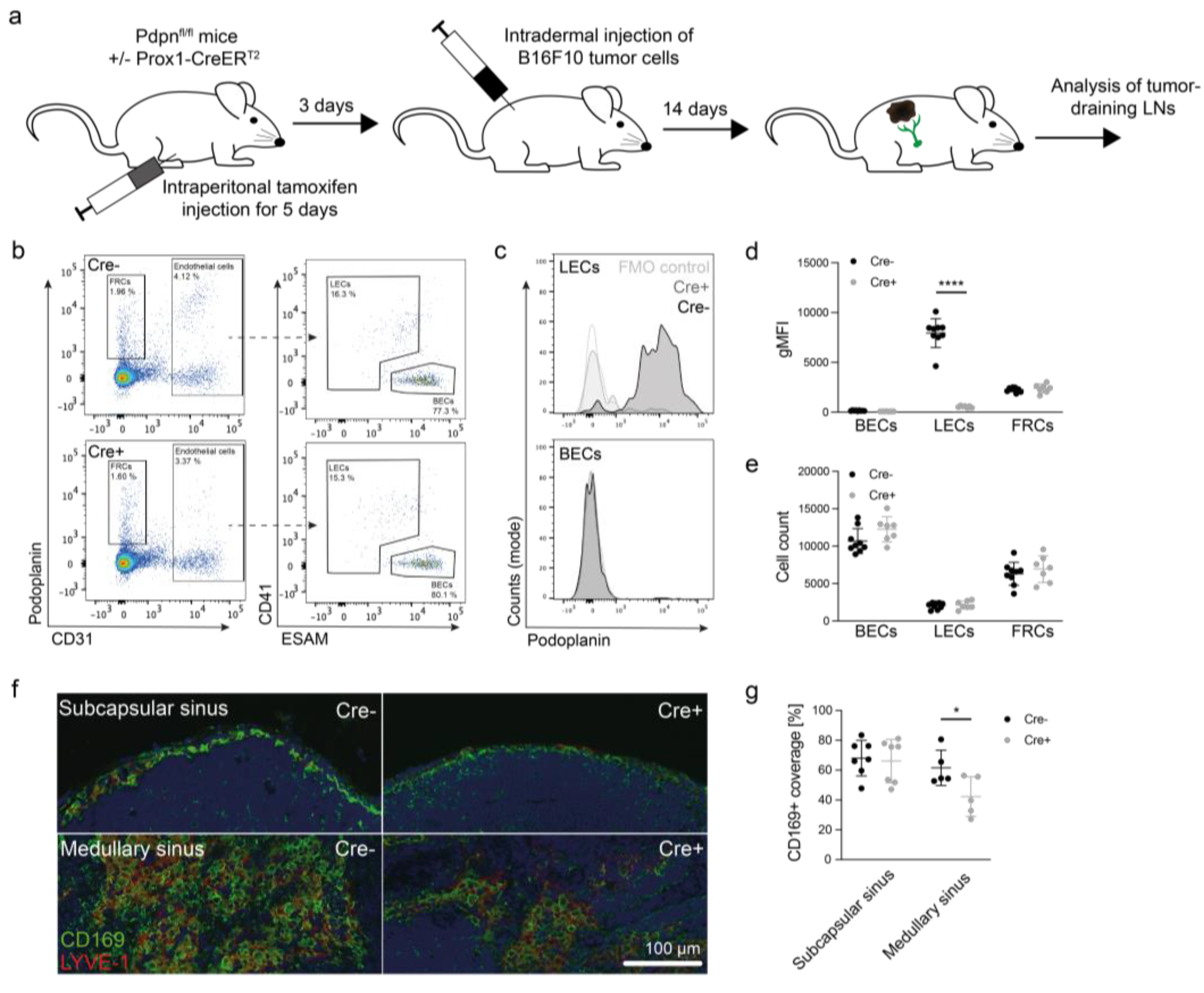 Cancers 14 03602 g005a