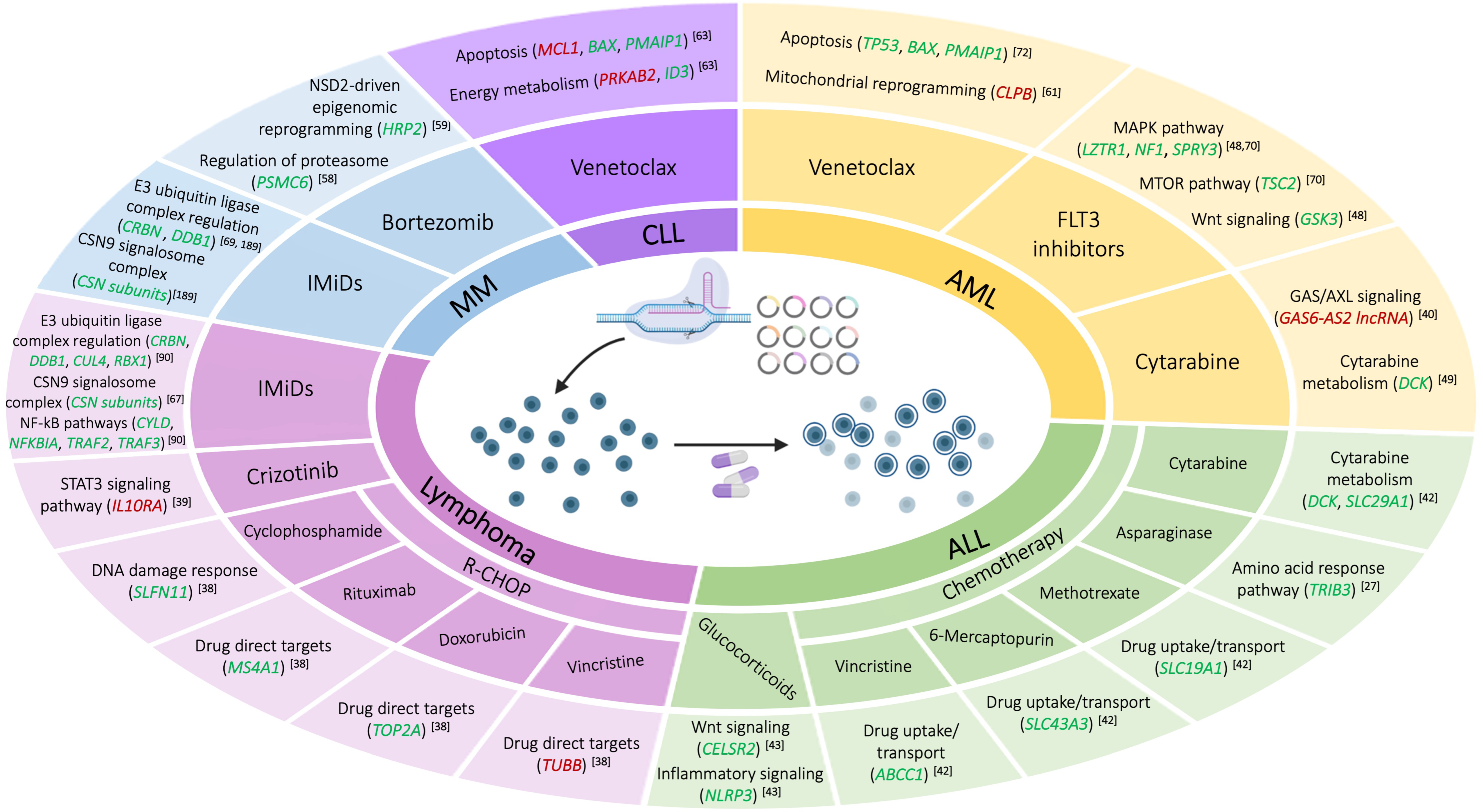 Cancers 14 03612 g001 550