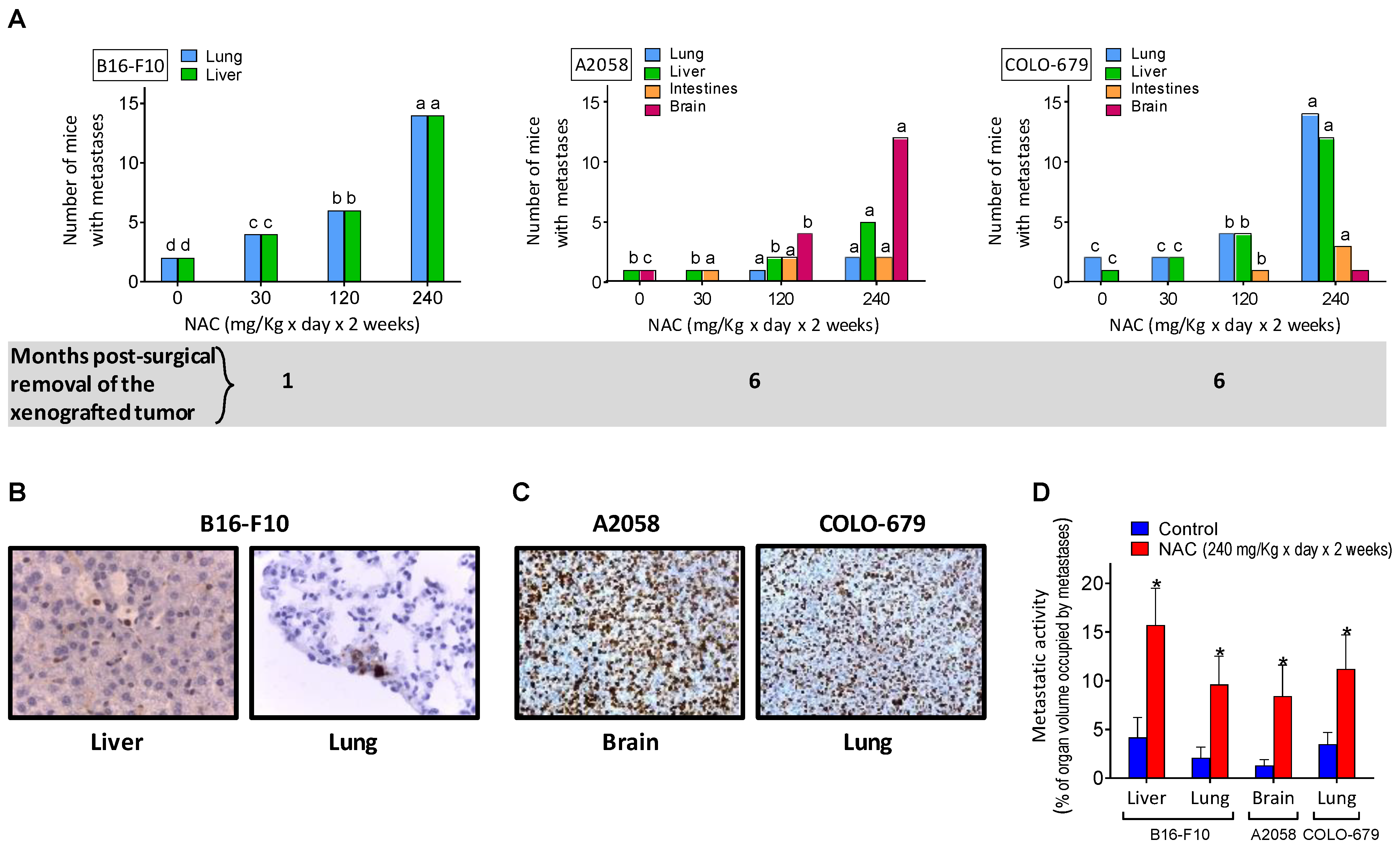 Cancers 14 03614 g002