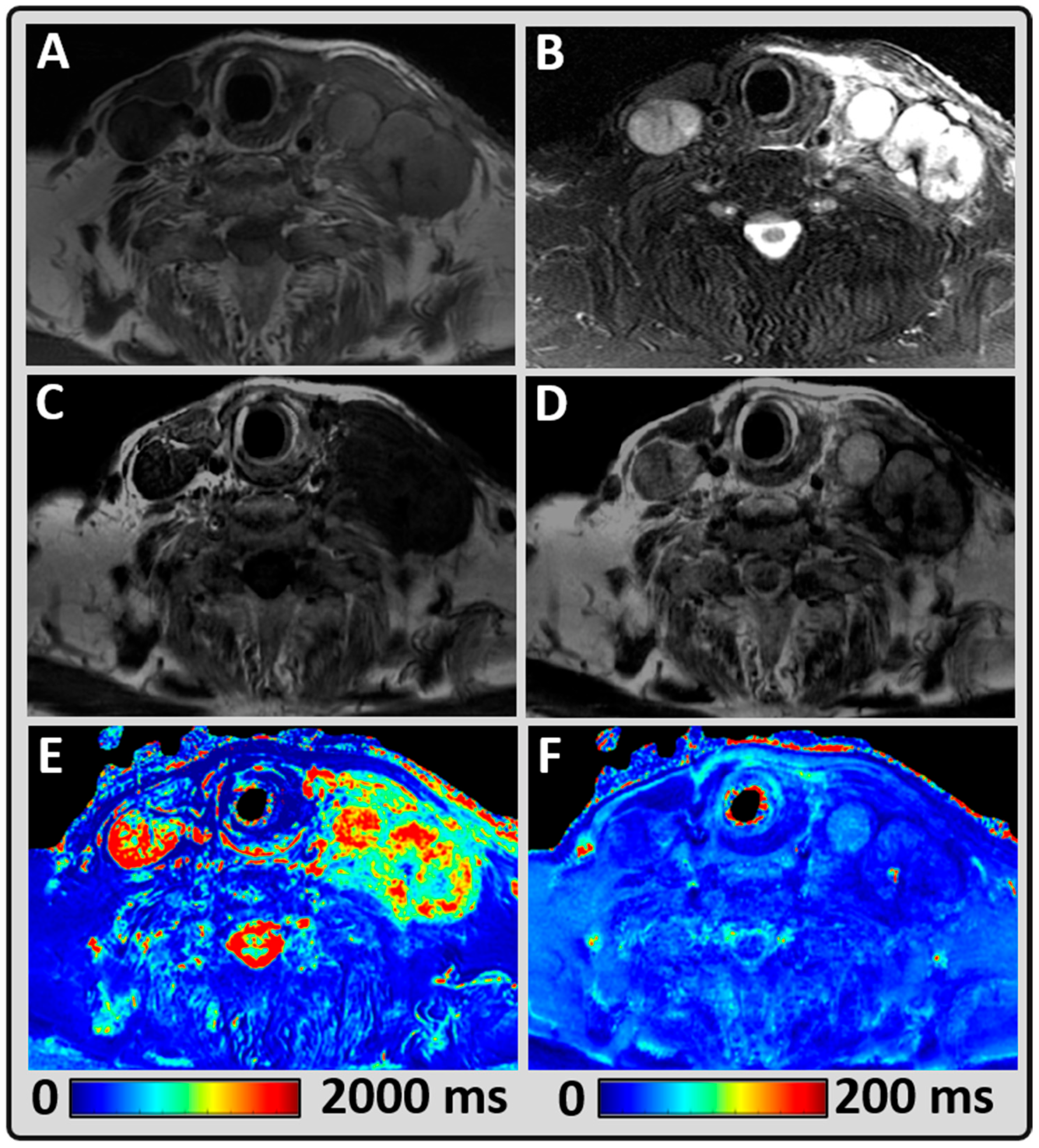 Cancers 14 03624 g002 Cancers 14 03624 g002
