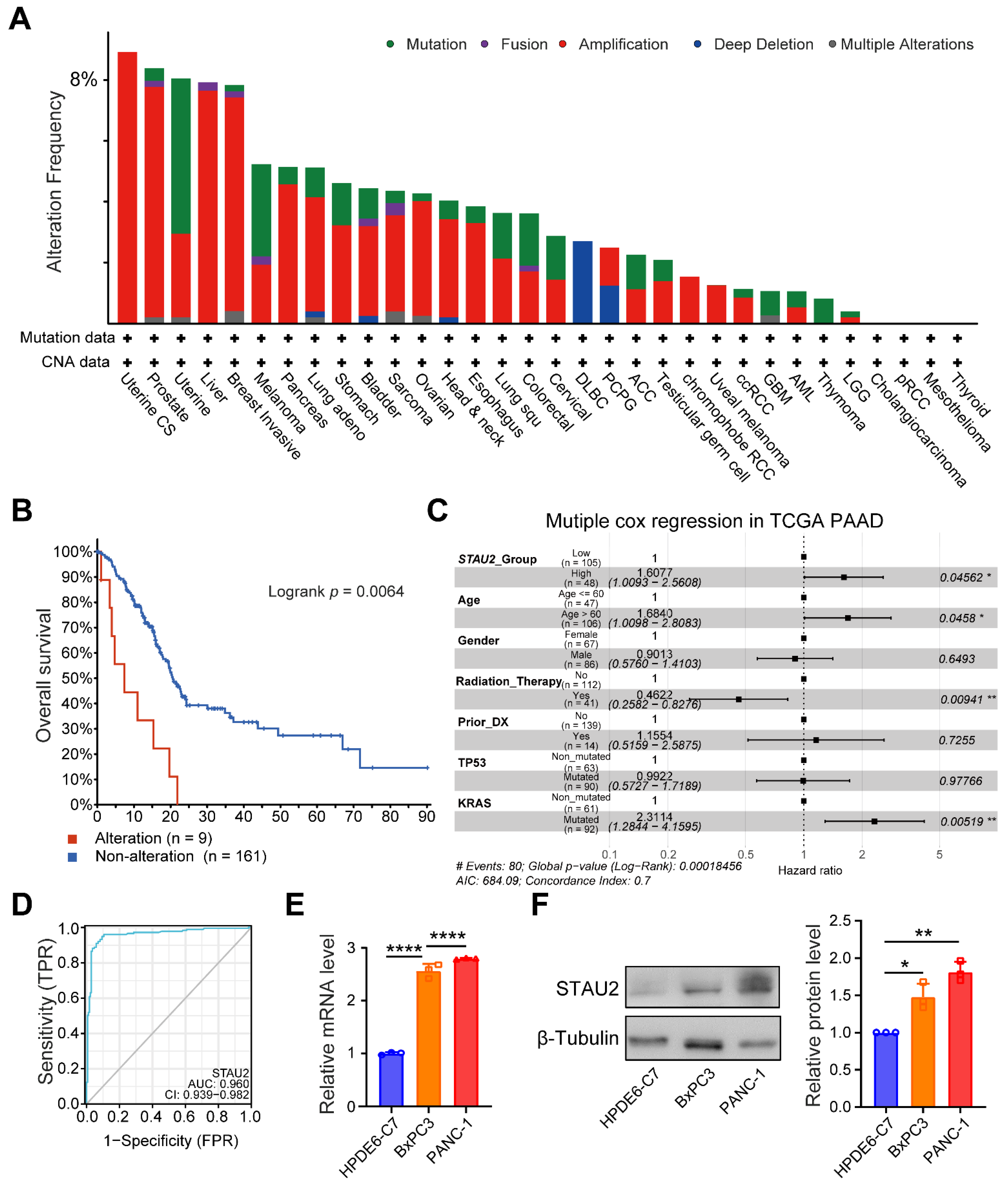 Cancers 14 03629 g004 550