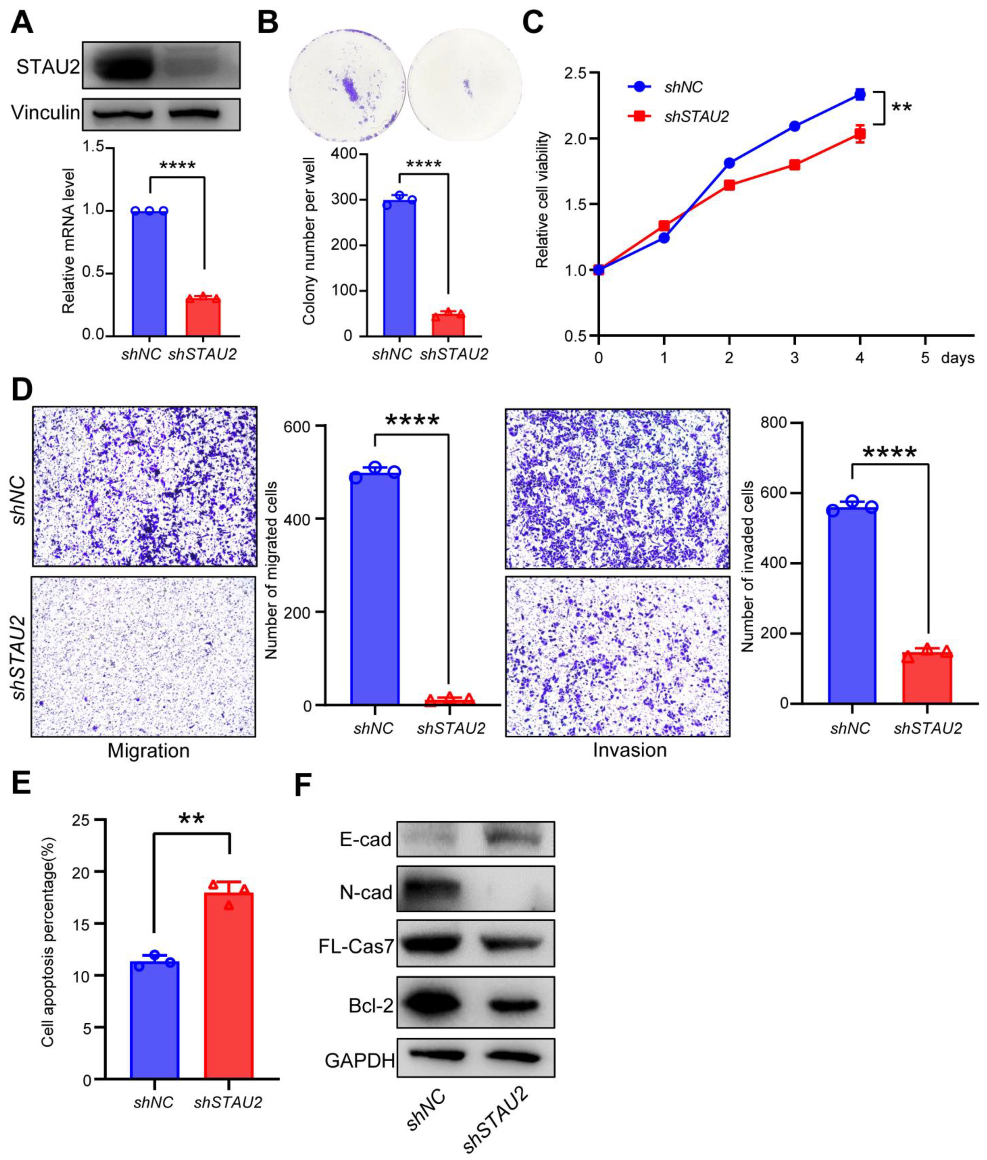 Cancers 14 03629 g005 550