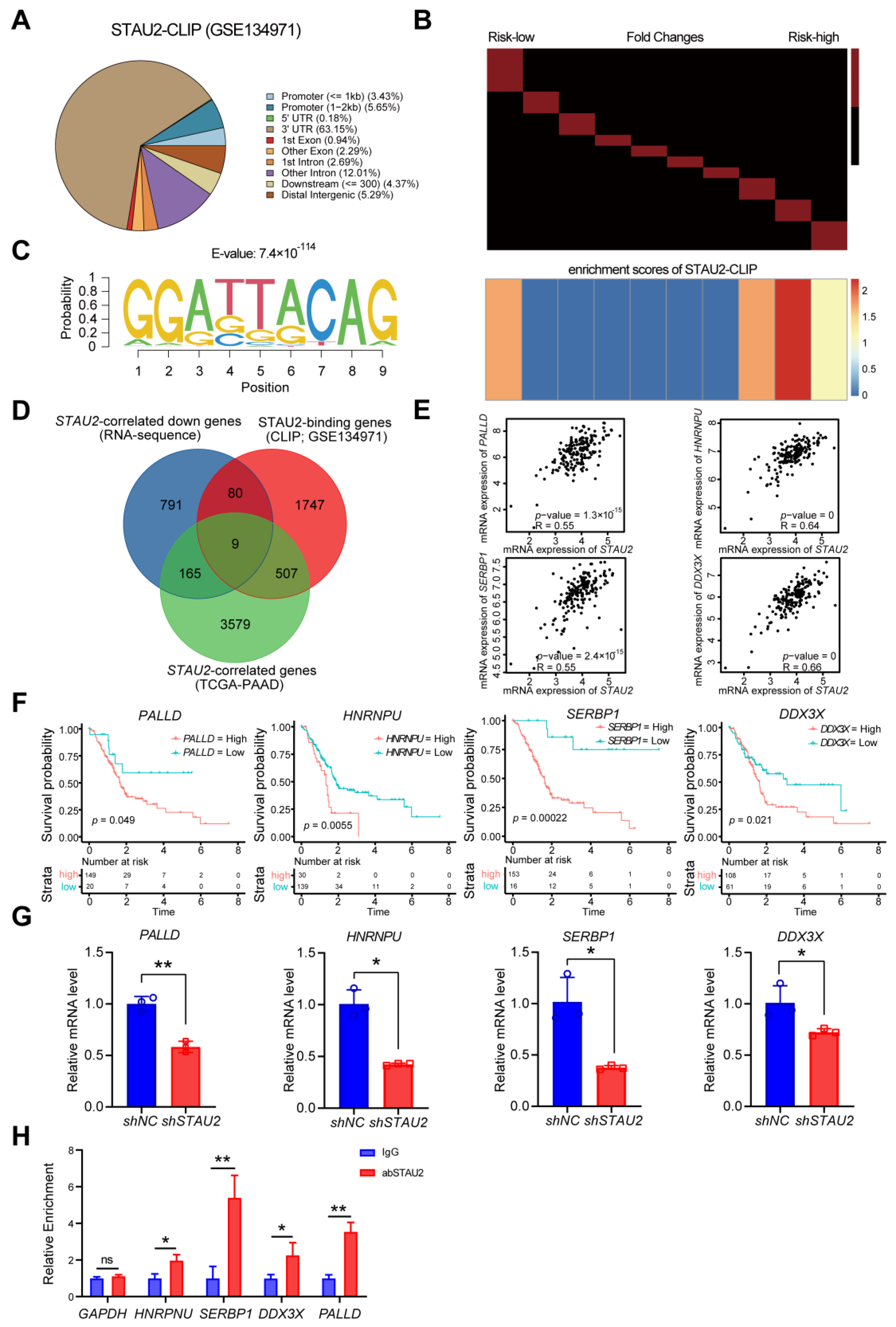 Cancers 14 03629 g007 550