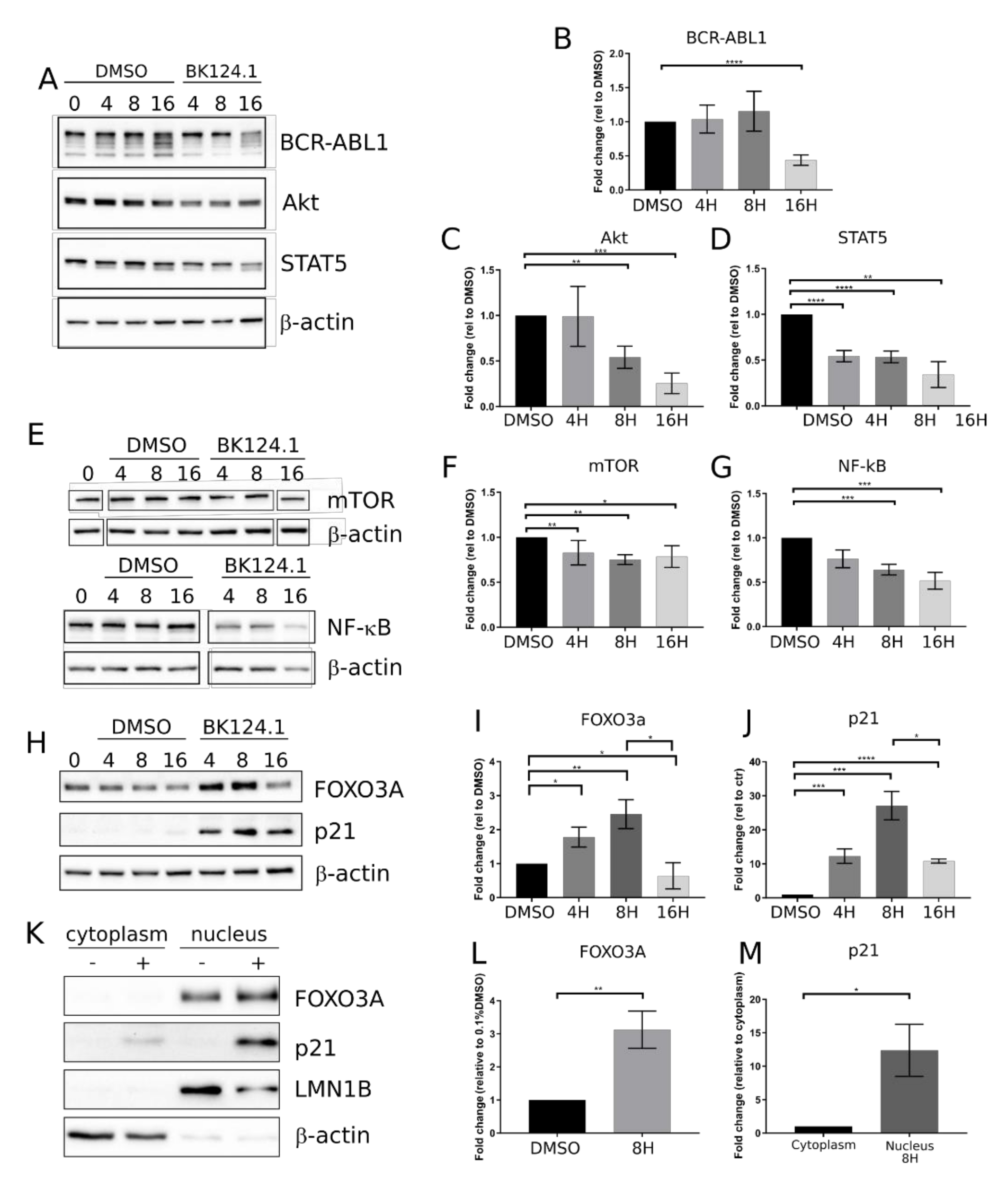 Cancers 14 03641 g002 550