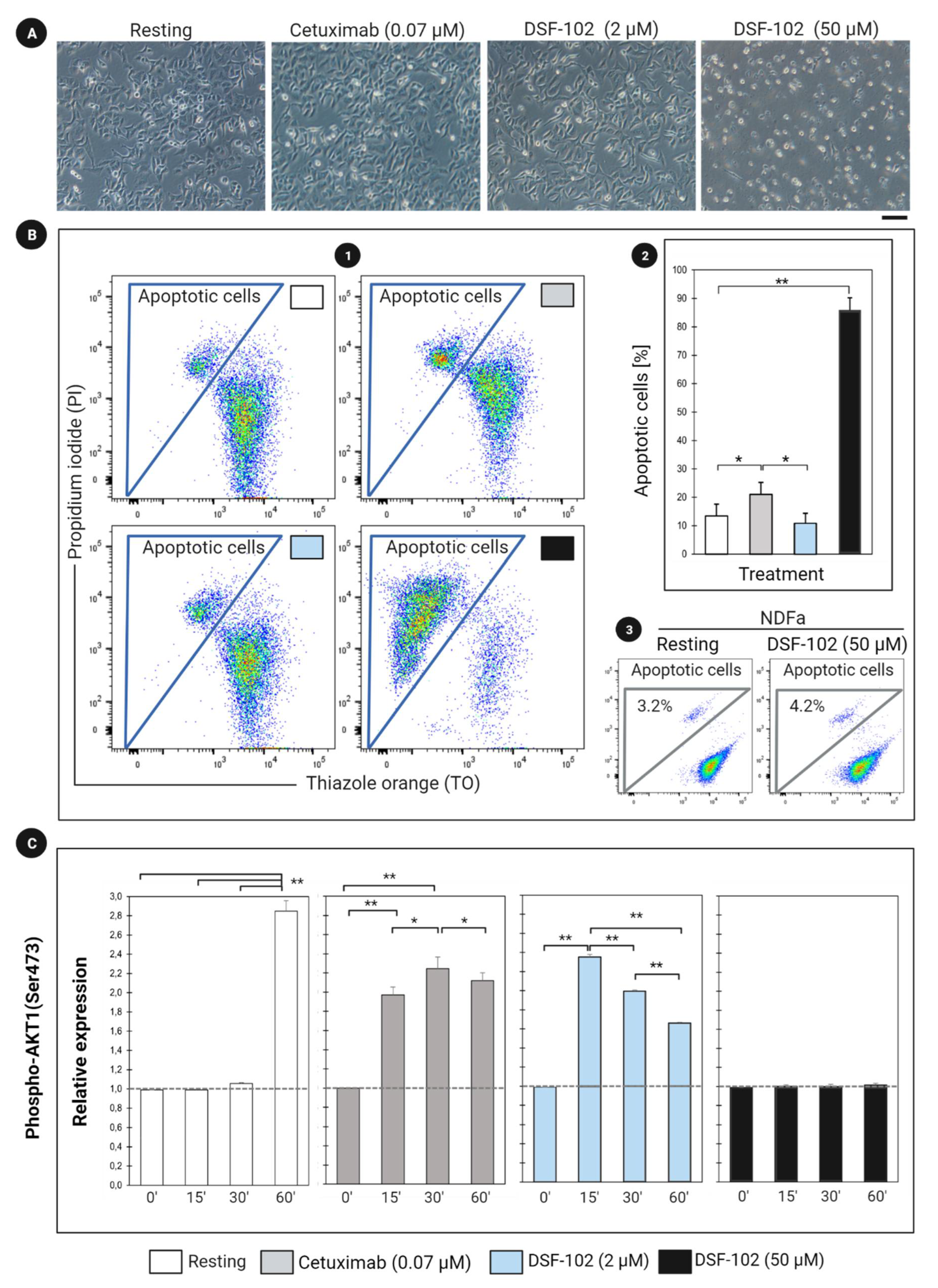 Cancers 14 03647 g004 Cancers 14 03647 g004