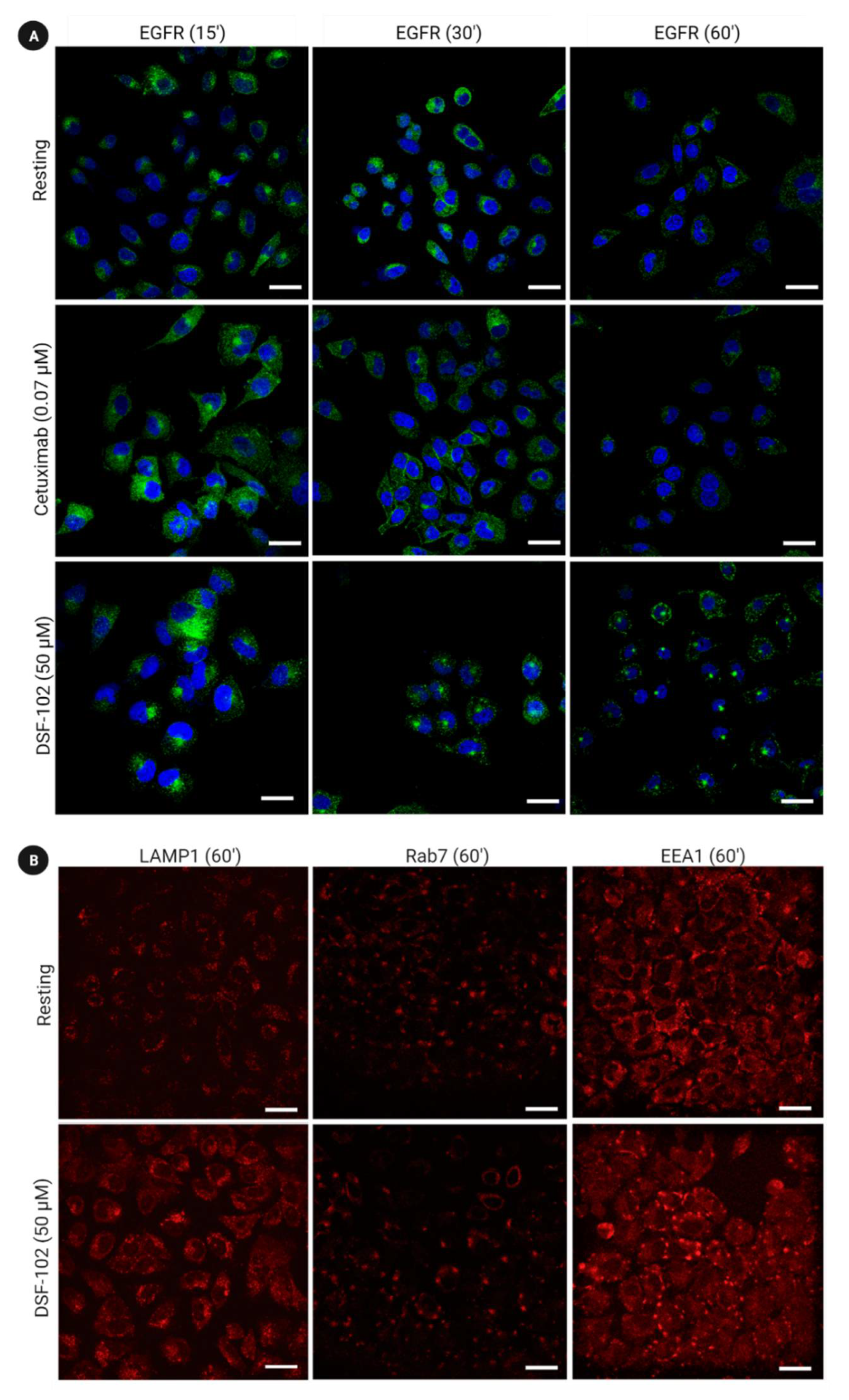 Cancers 14 03647 g005 Cancers 14 03647 g005