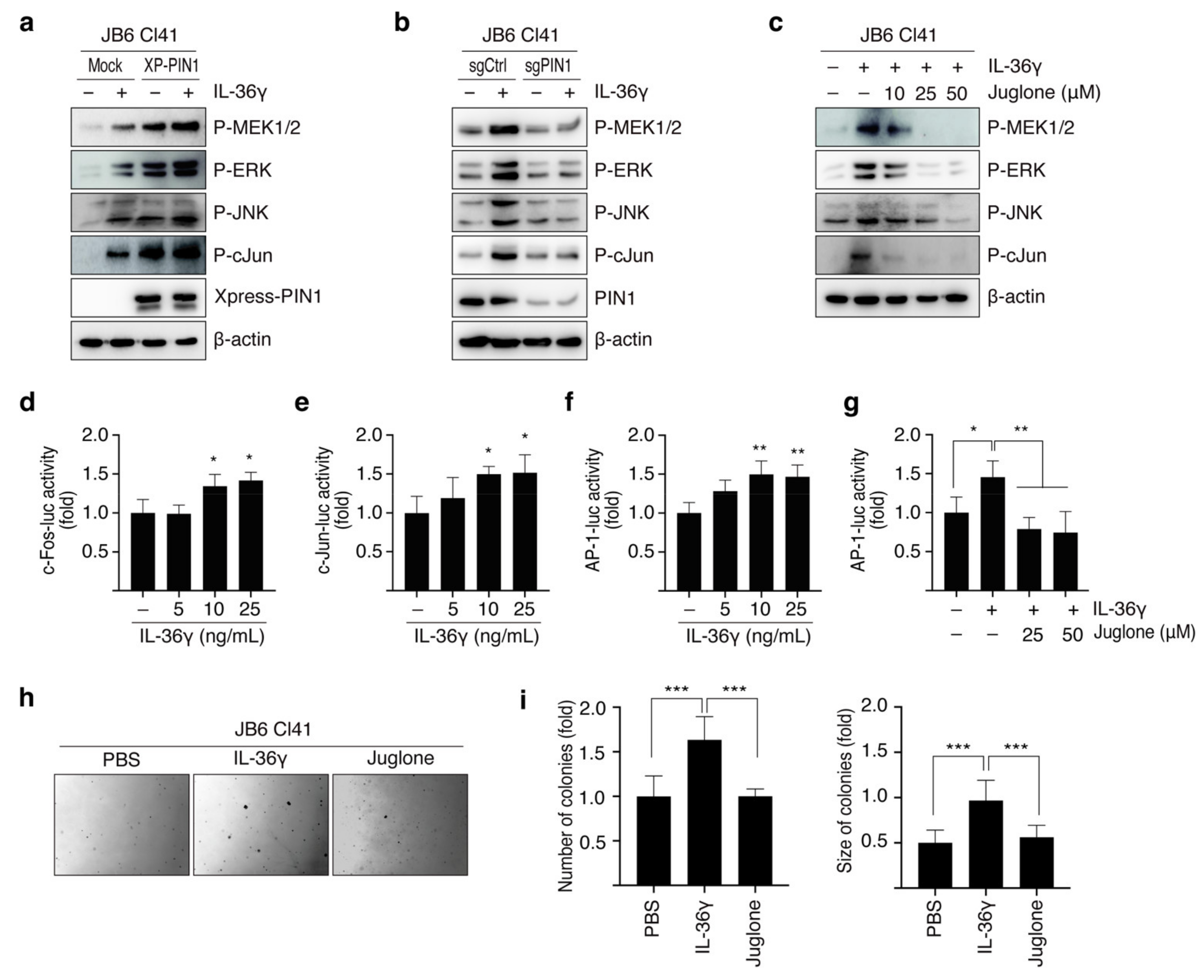 Cancers 14 03654 g003 Cancers 14 03654 g003