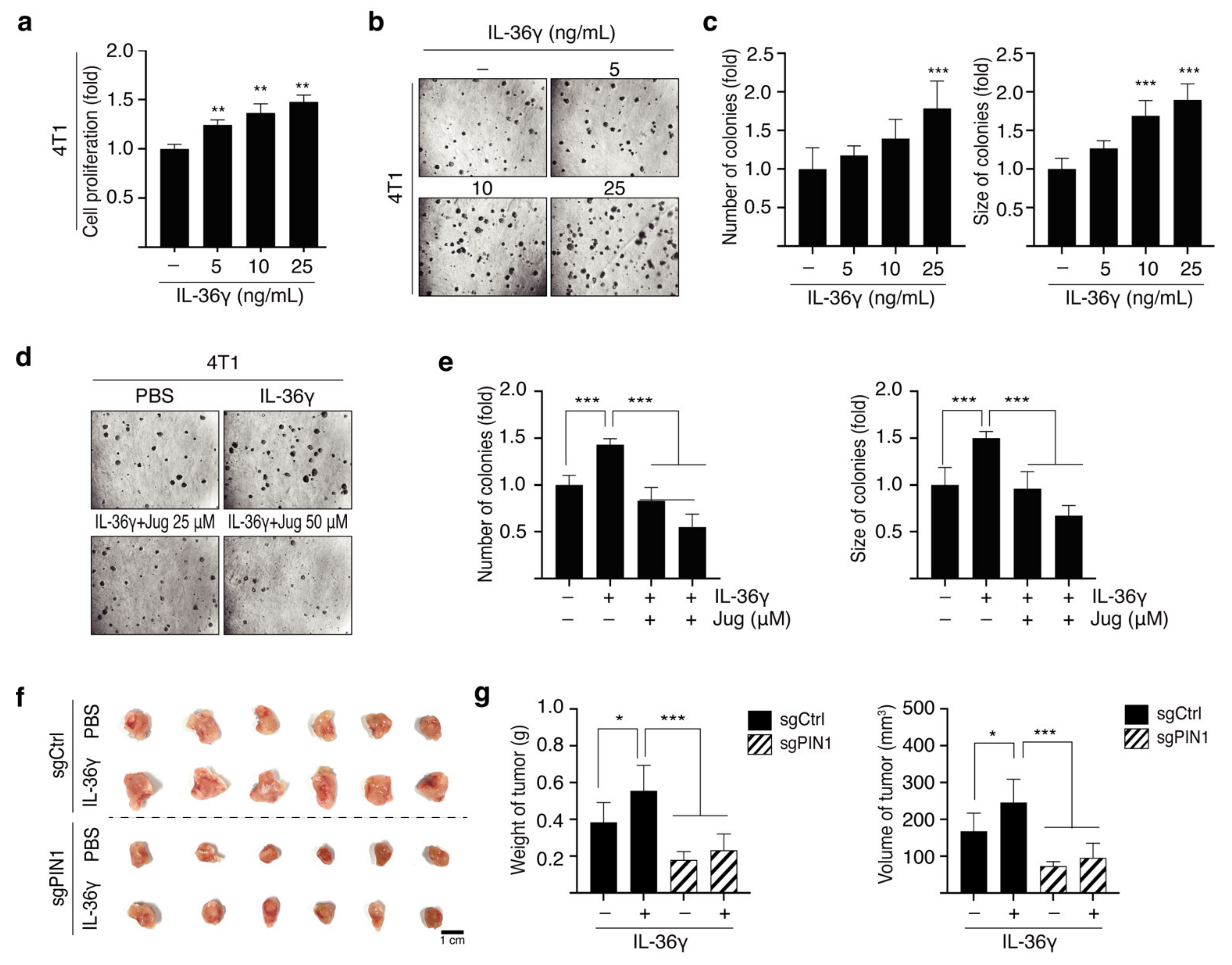 Cancers 14 03654 g006 Cancers 14 03654 g006