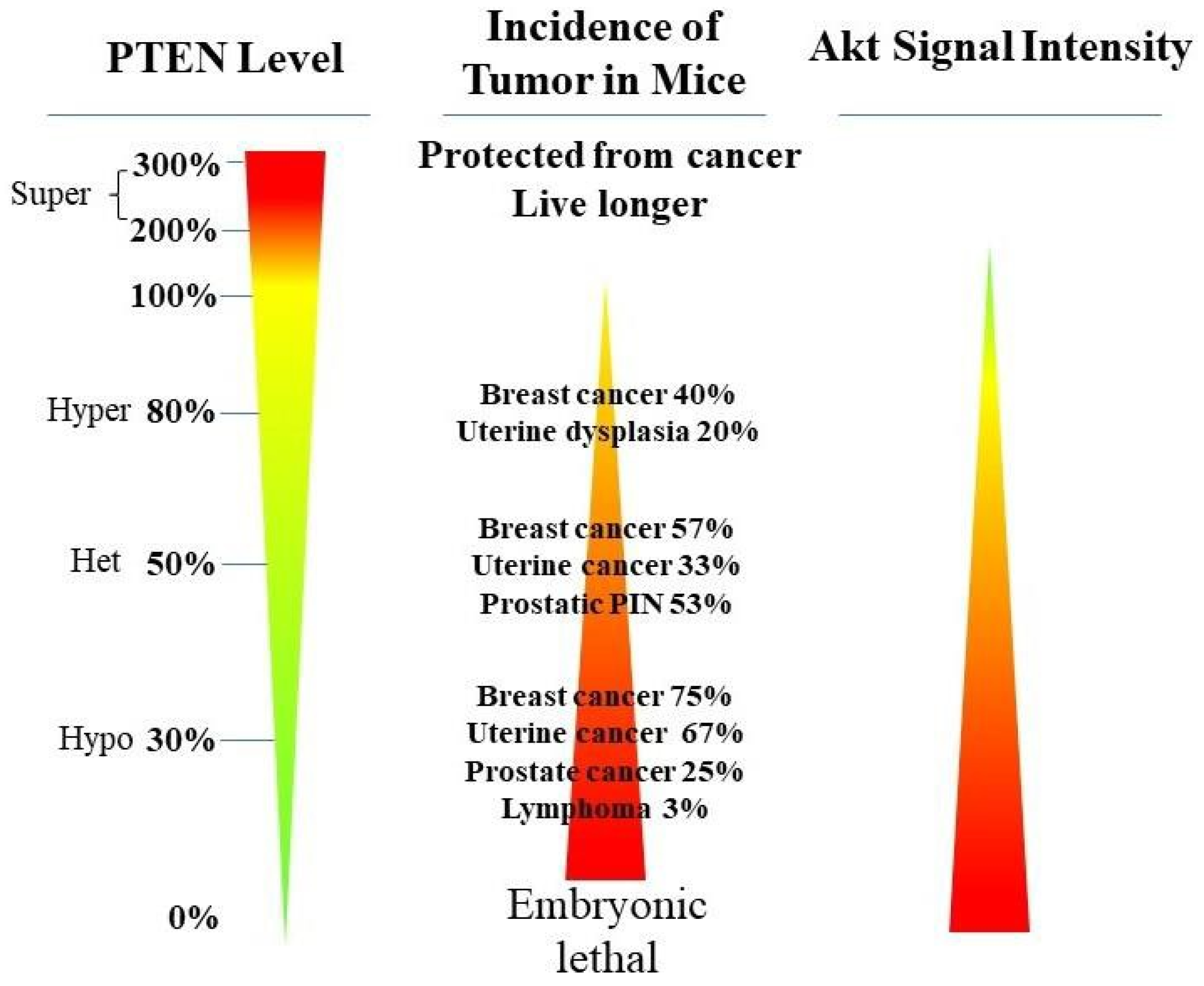 Cancers 14 03666 g003