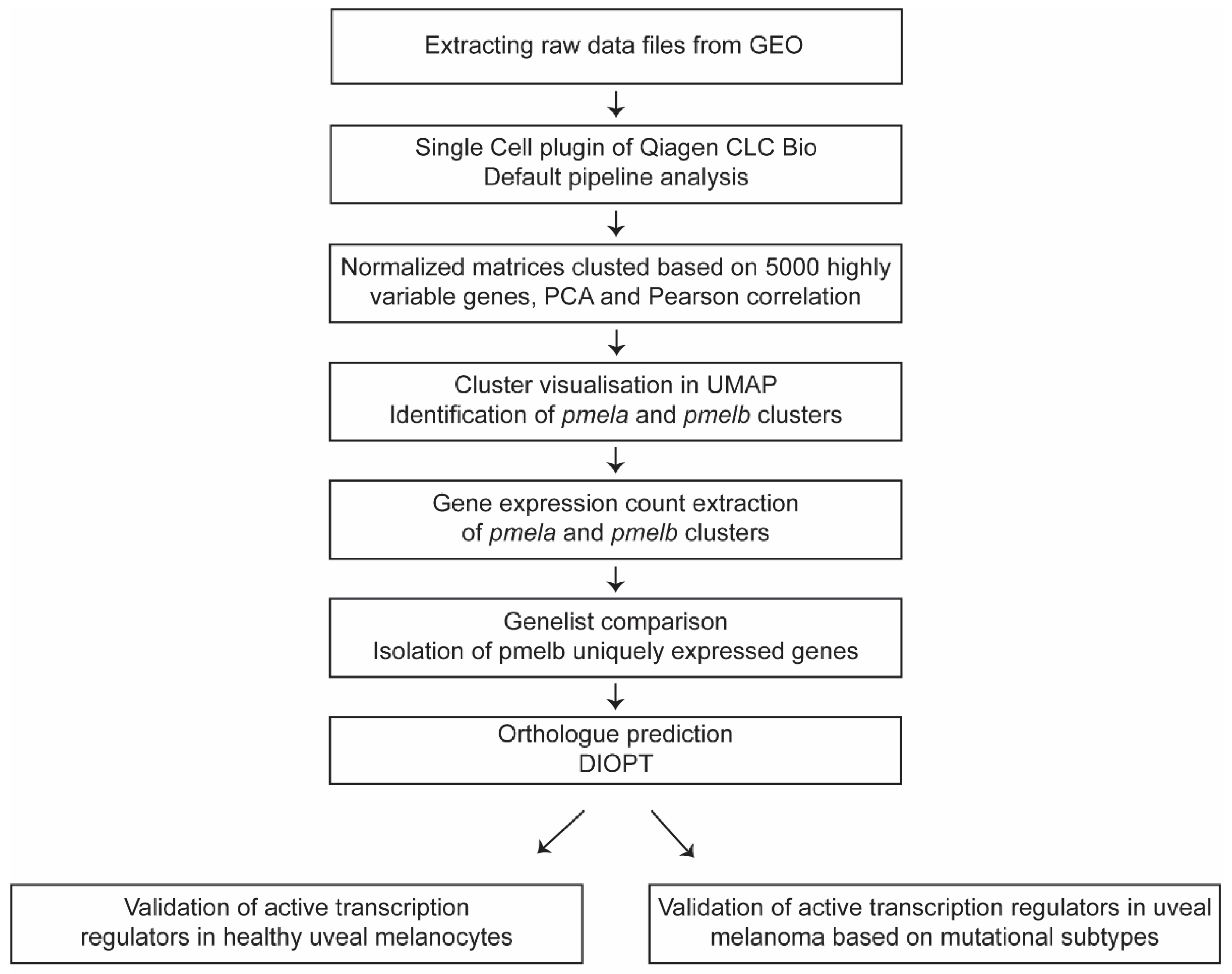 Cancers 14 03668 g001 550