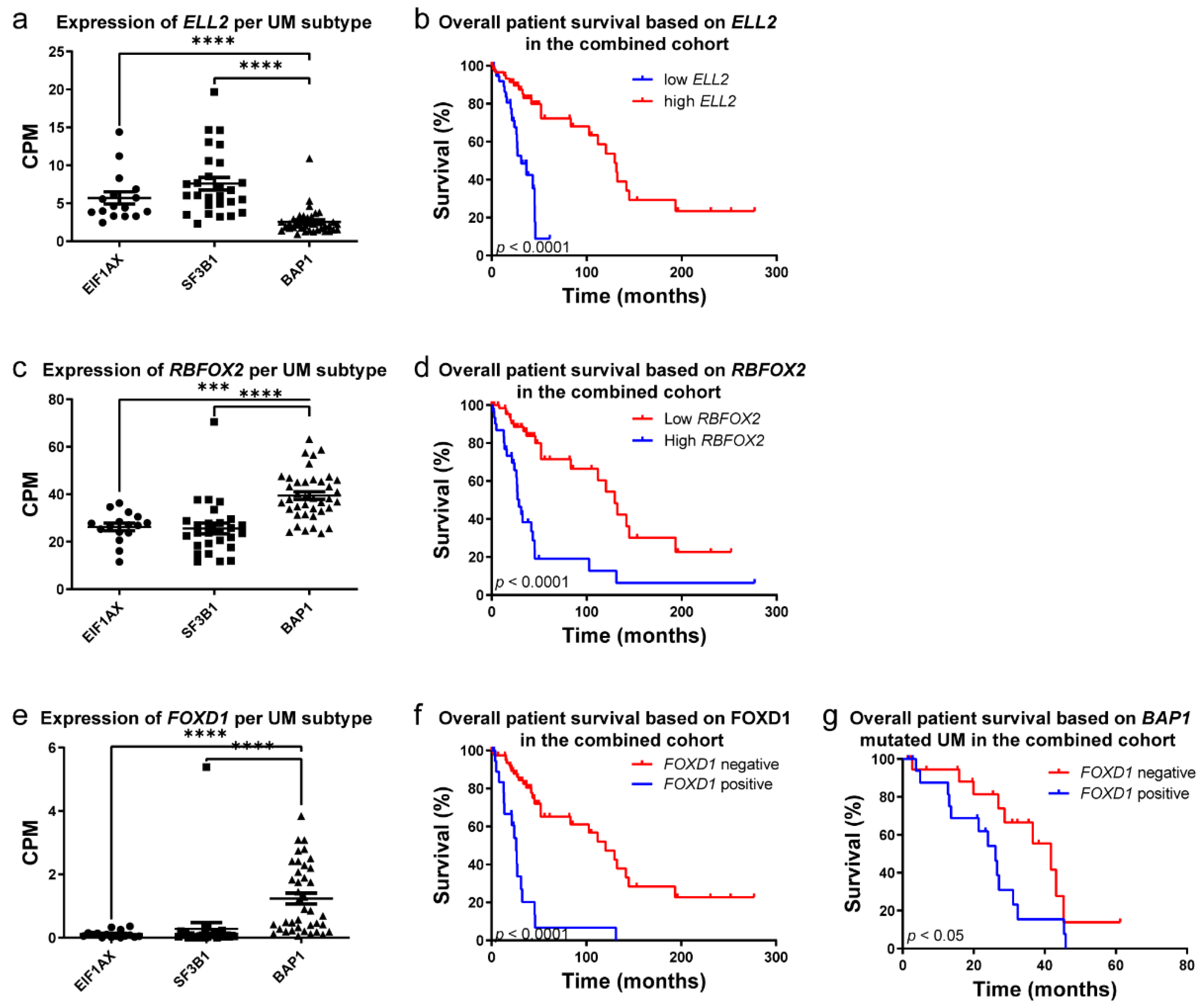 Cancers 14 03668 g005 550