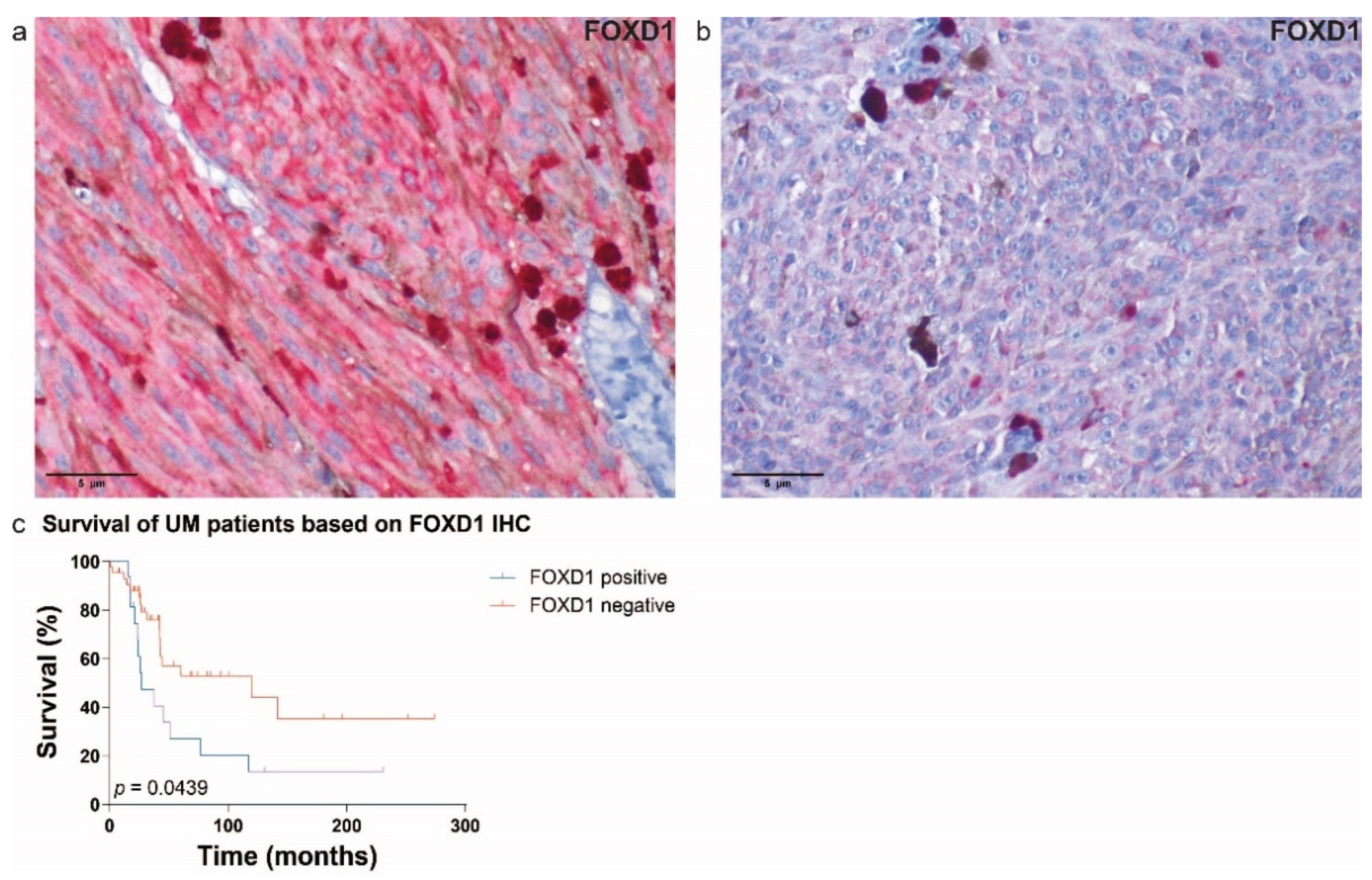 Cancers 14 03668 g007 550