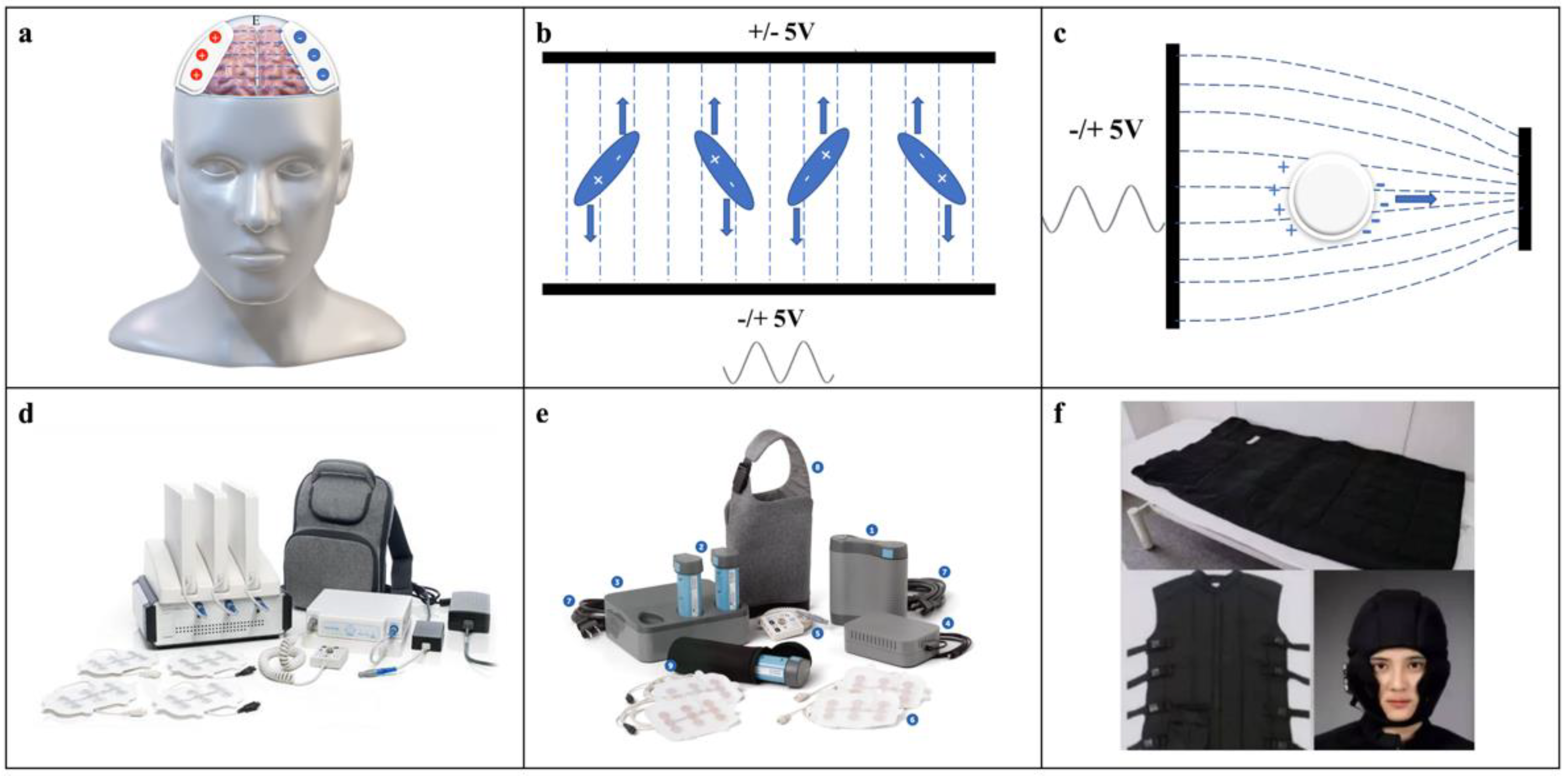 Cancers 14 03669 g001