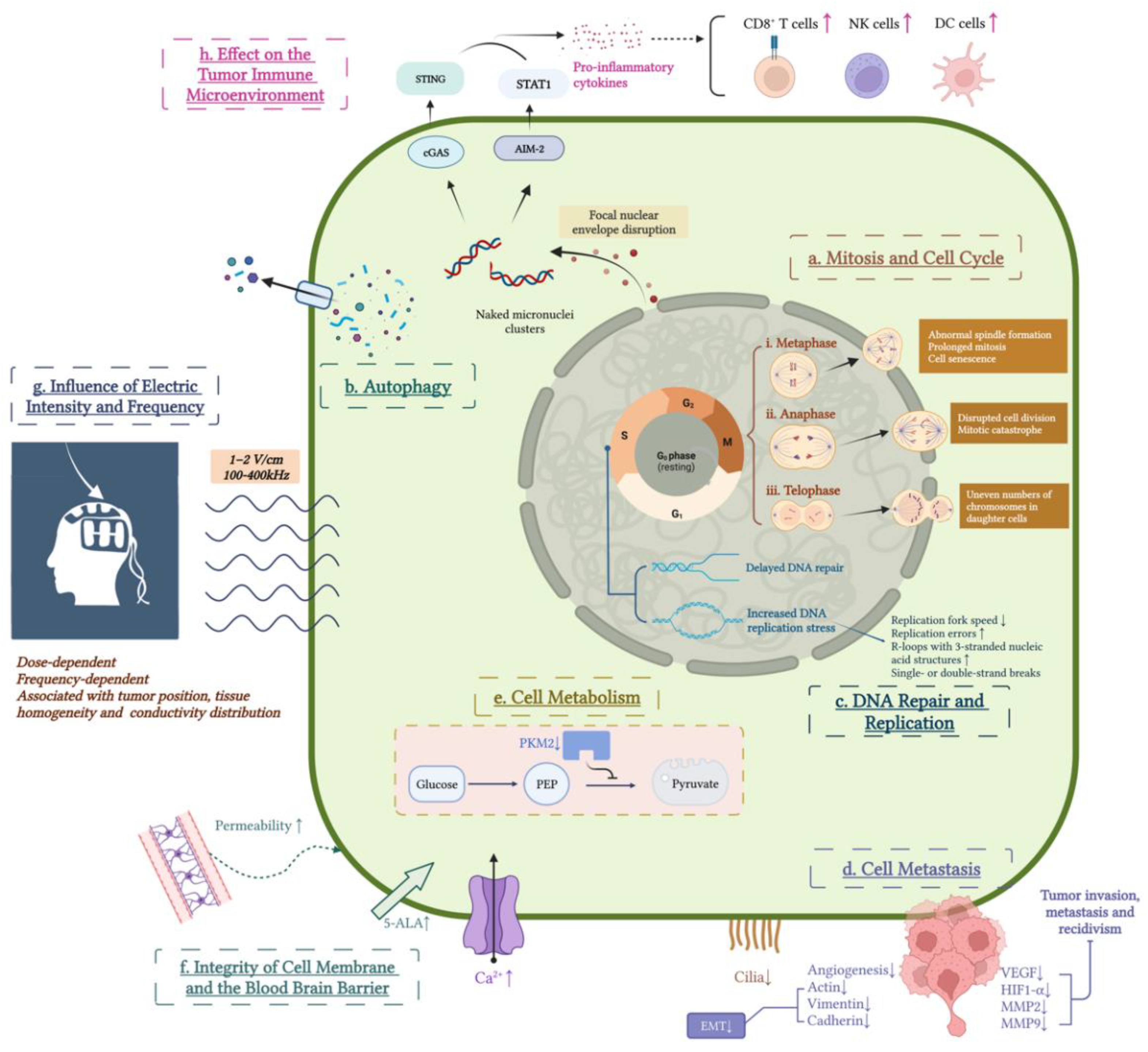 Cancers 14 03669 g002