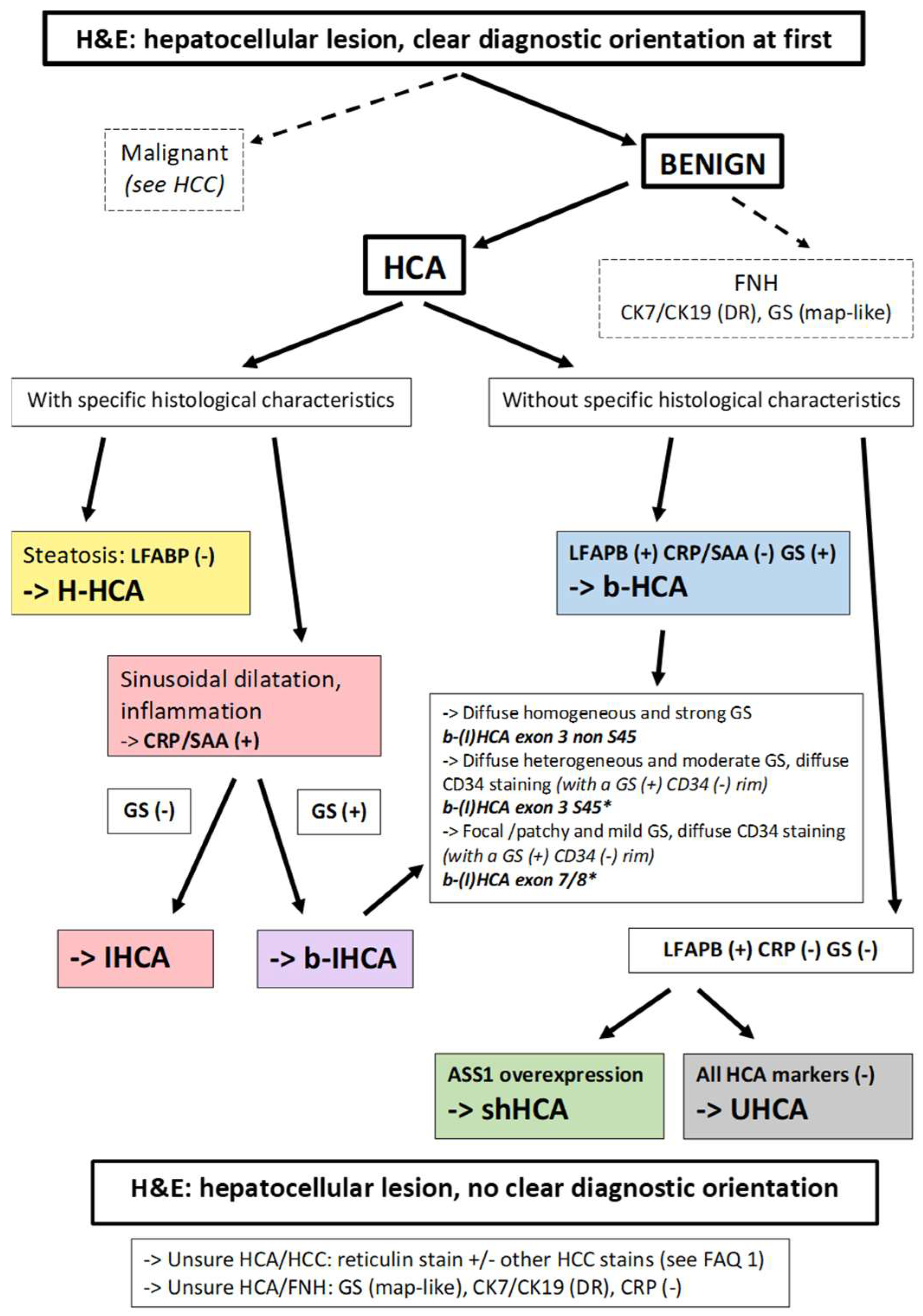 Cancers 14 03670 g002 550