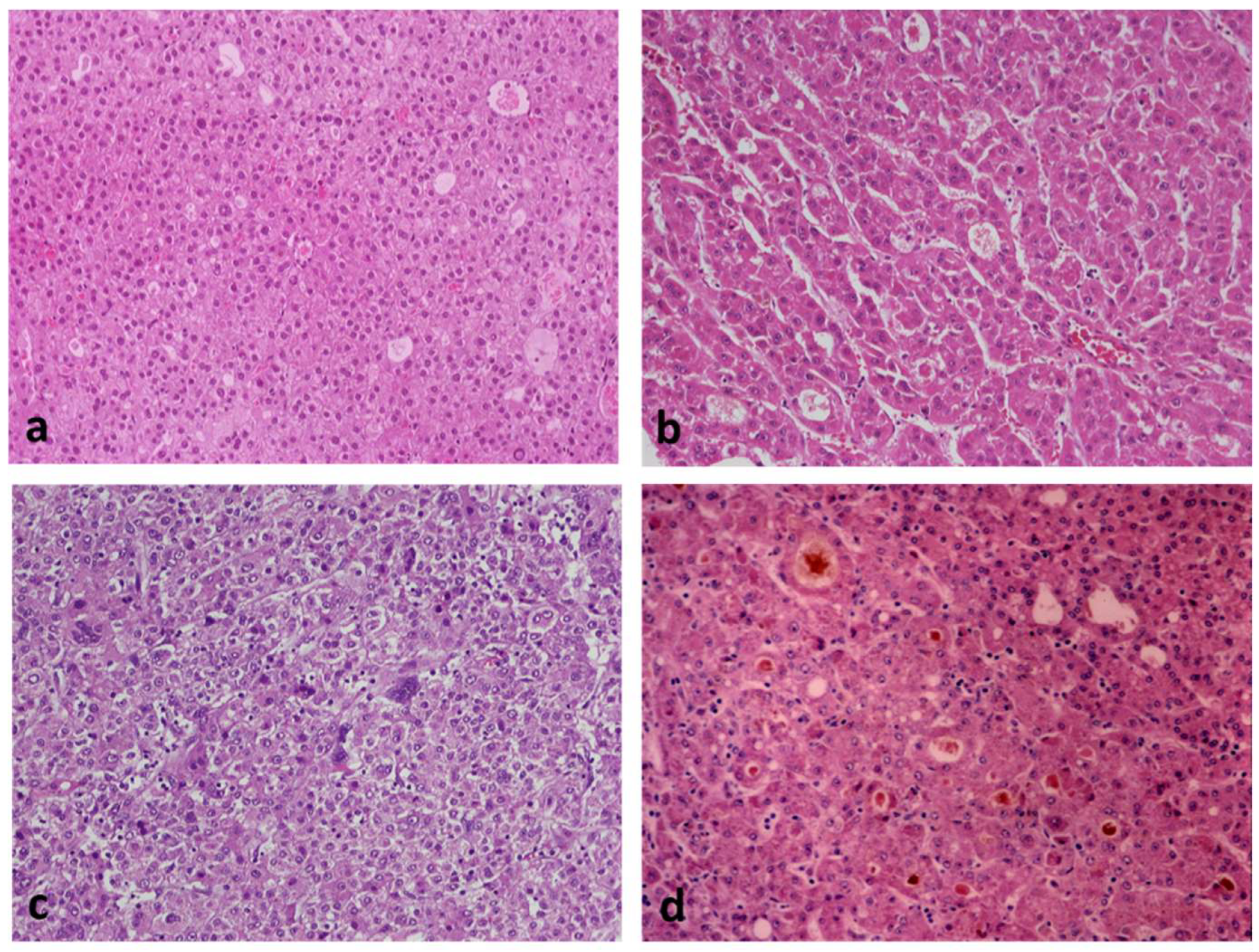 Cancers 14 03670 g003 550