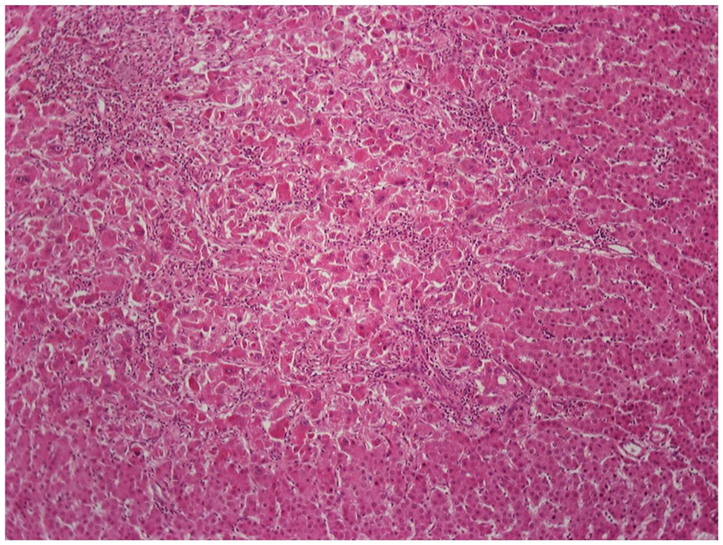 Cancers 14 03670 g004 550