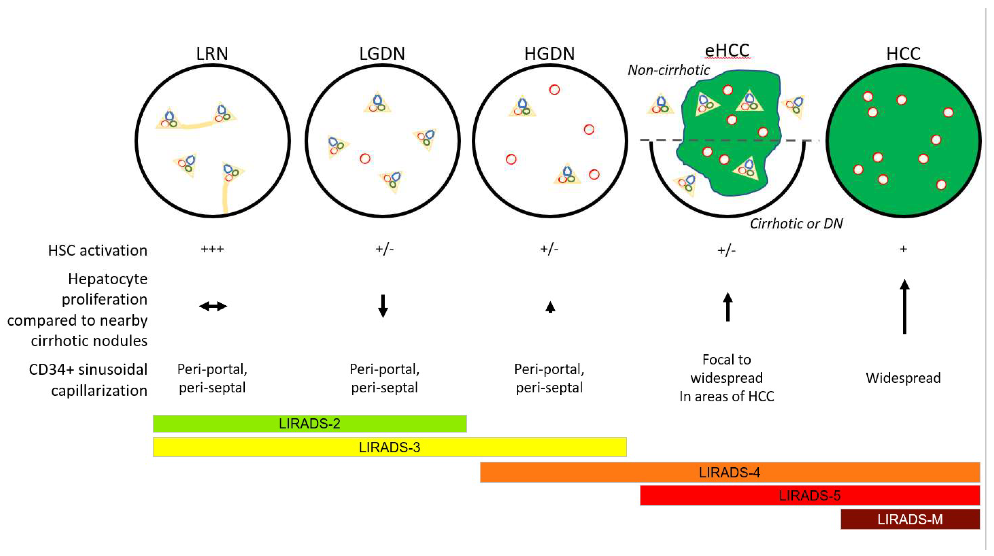 Cancers 14 03670 g007 550