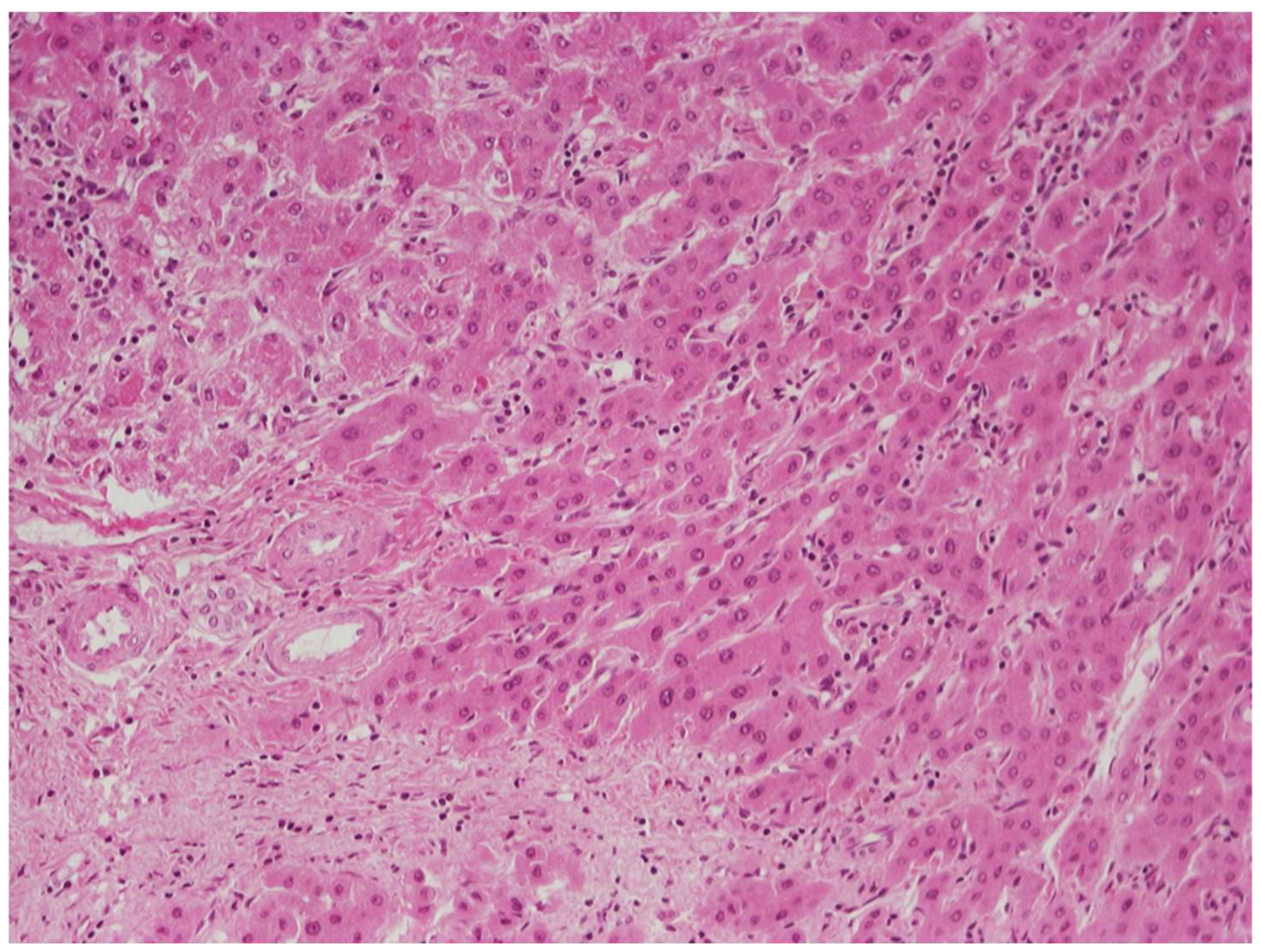 Cancers 14 03670 g008 550