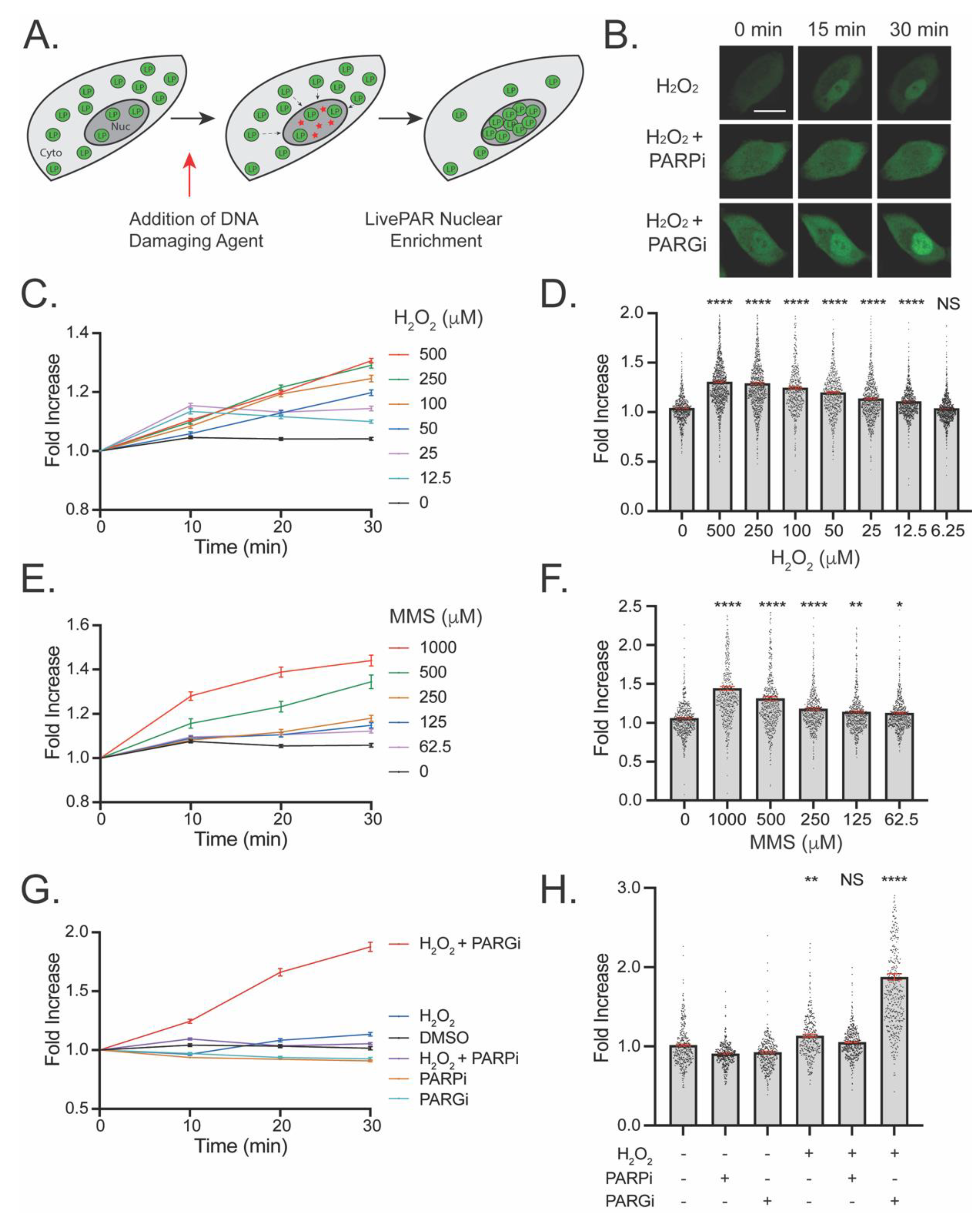 Cancers 14 03676 g002