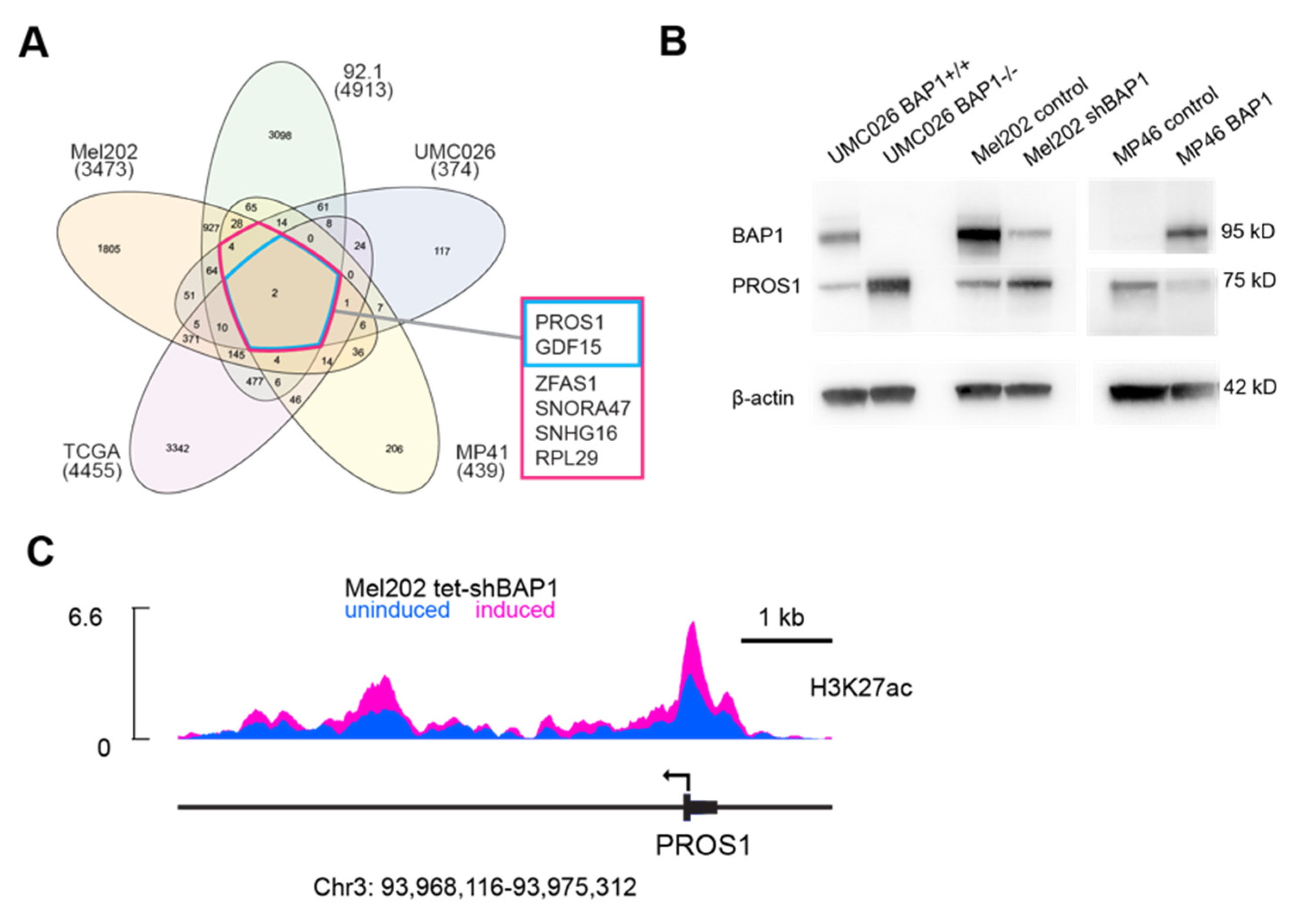 Cancers 14 03678 g001