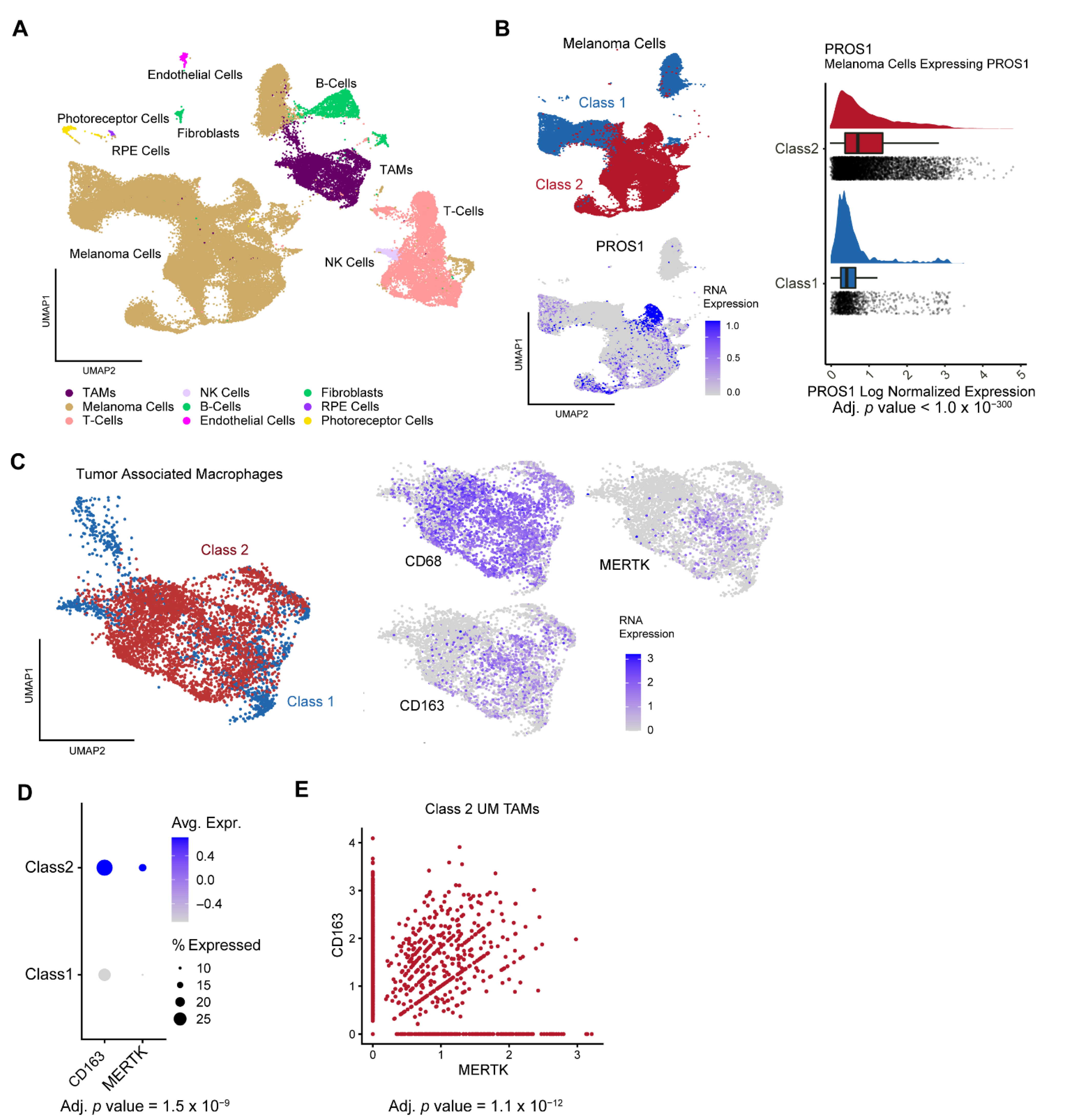 Cancers 14 03678 g002