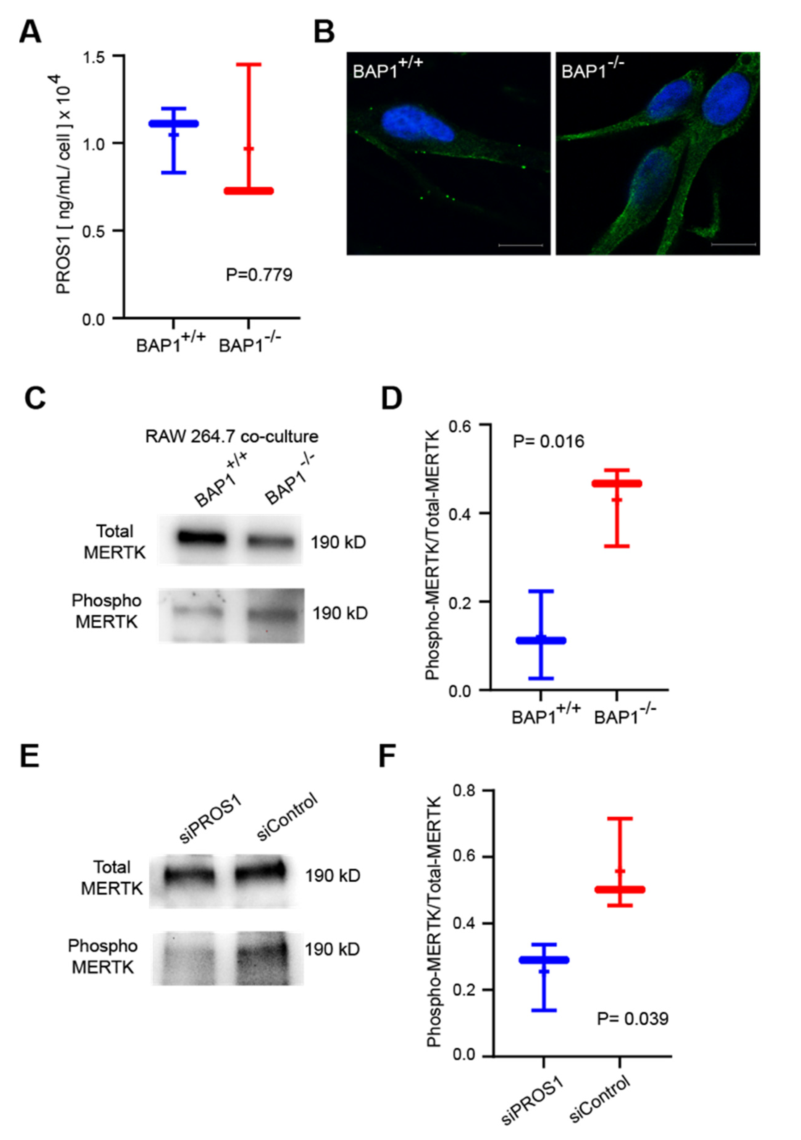 Cancers 14 03678 g004