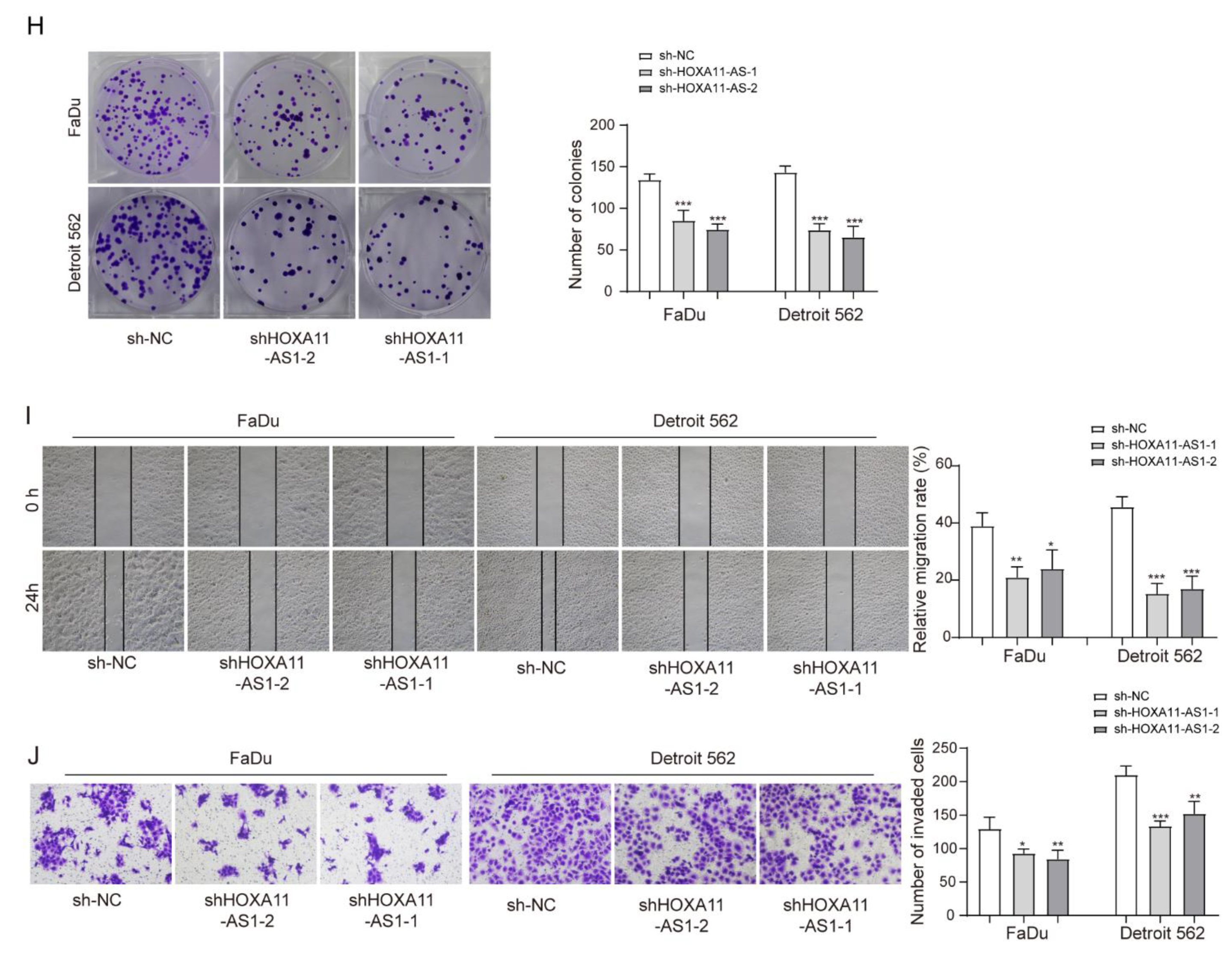 Cancers 14 03694 g002b