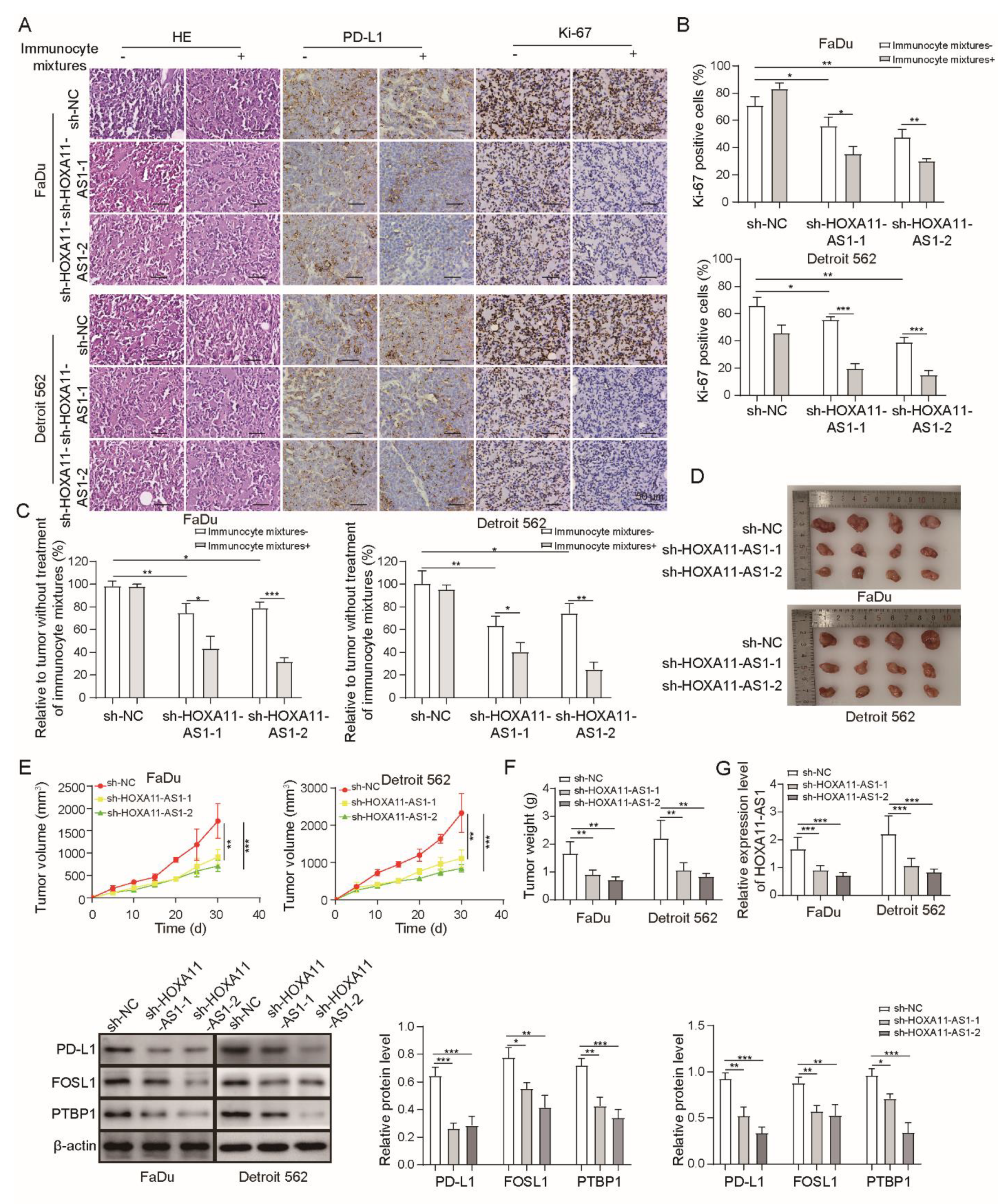 Cancers 14 03694 g006a