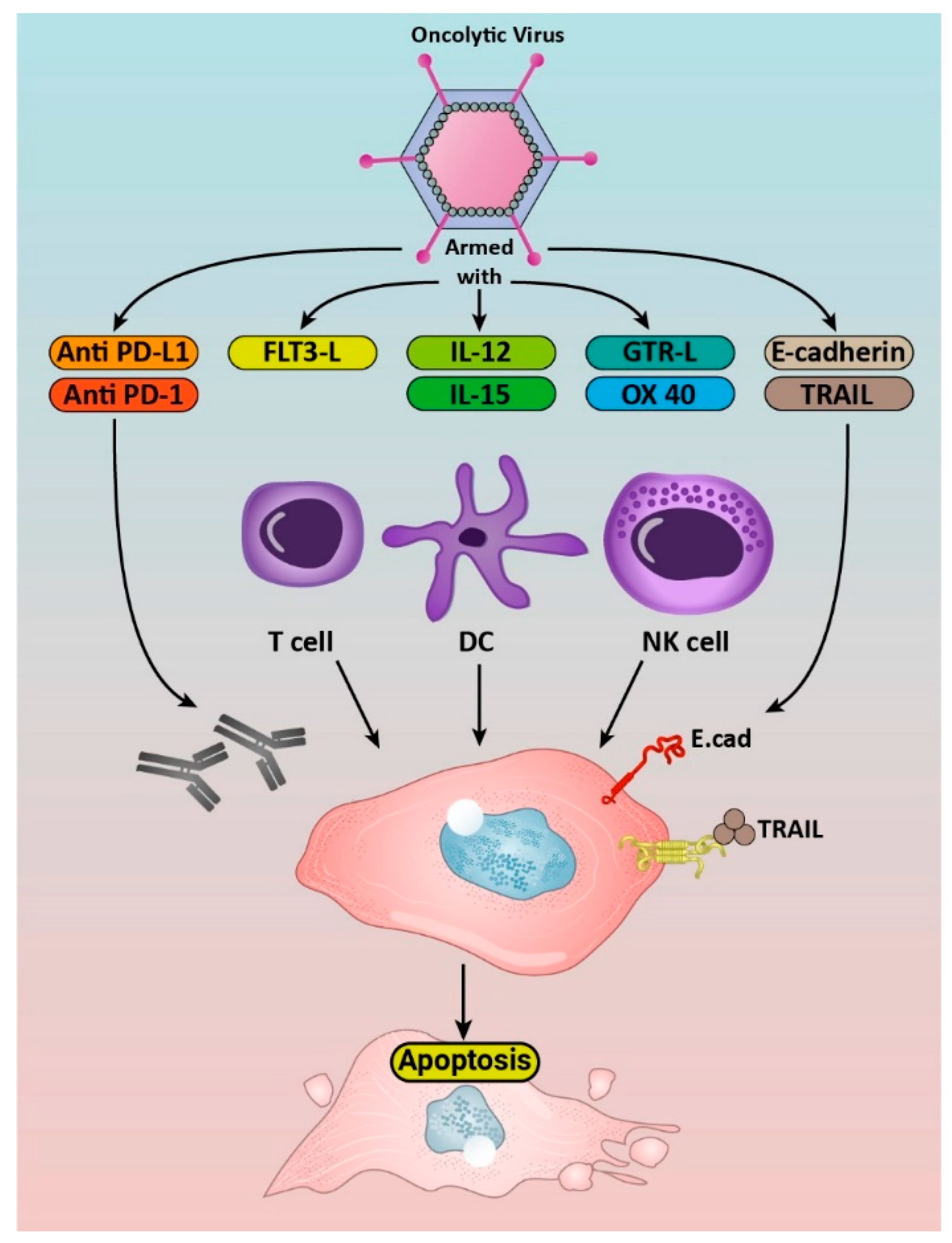 Cancers 14 03698 g002 Cancers 14 03698 g002