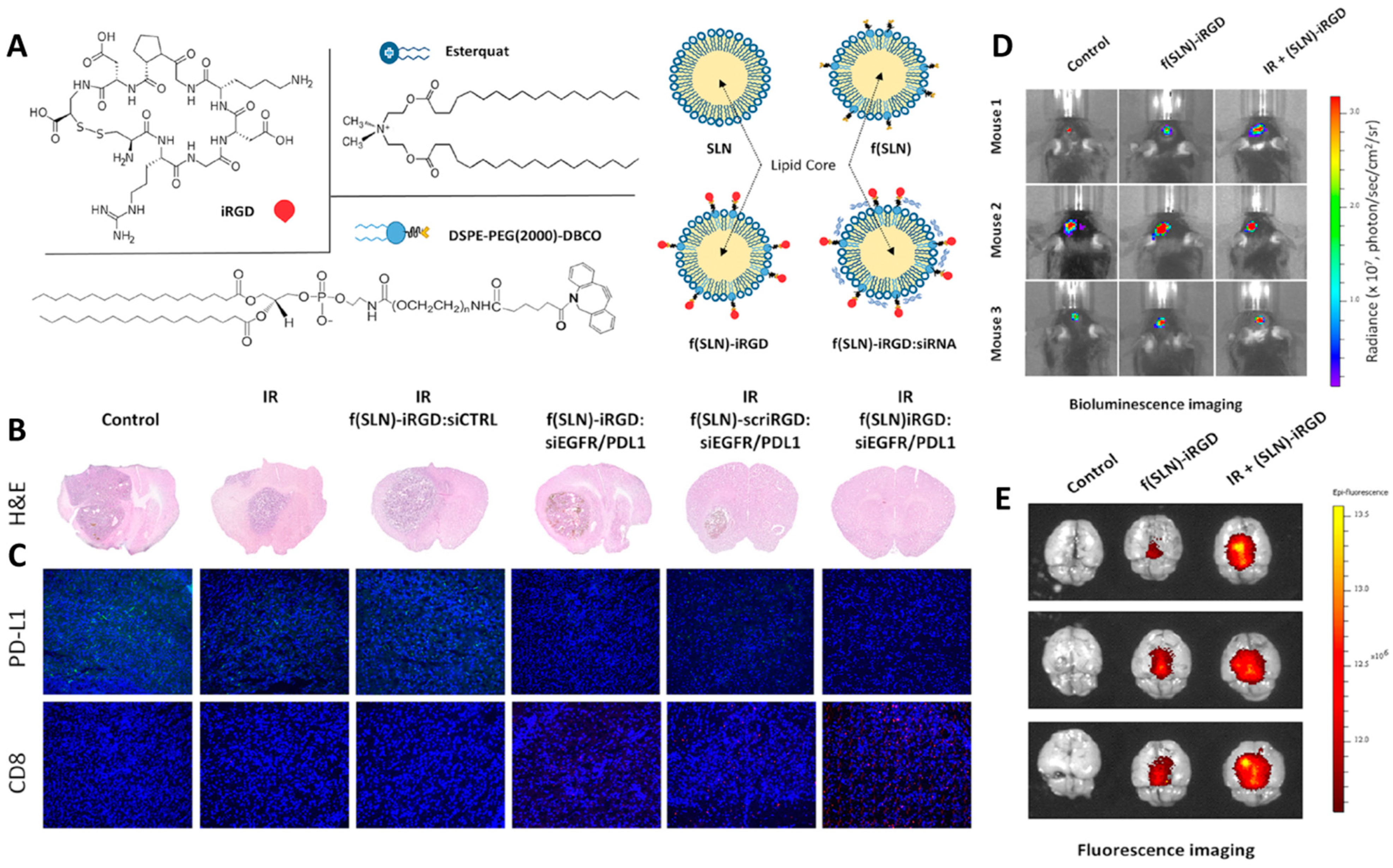 Cancers 14 03698 g005 Cancers 14 03698 g005