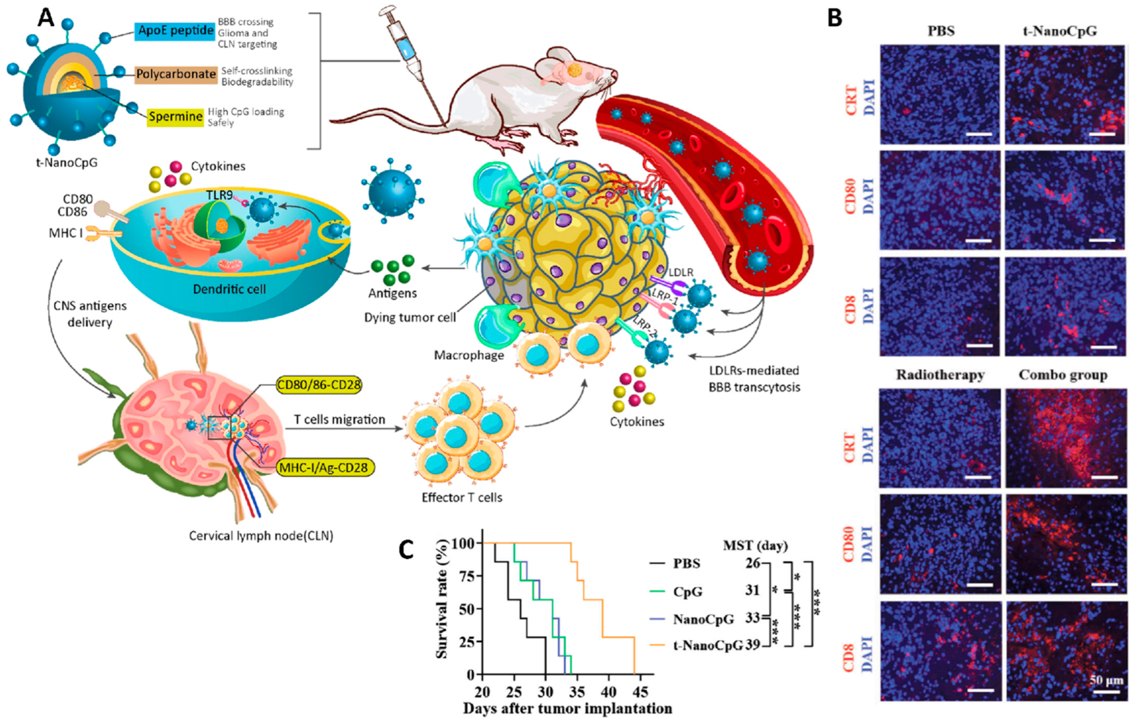 Cancers 14 03698 g007 Cancers 14 03698 g007