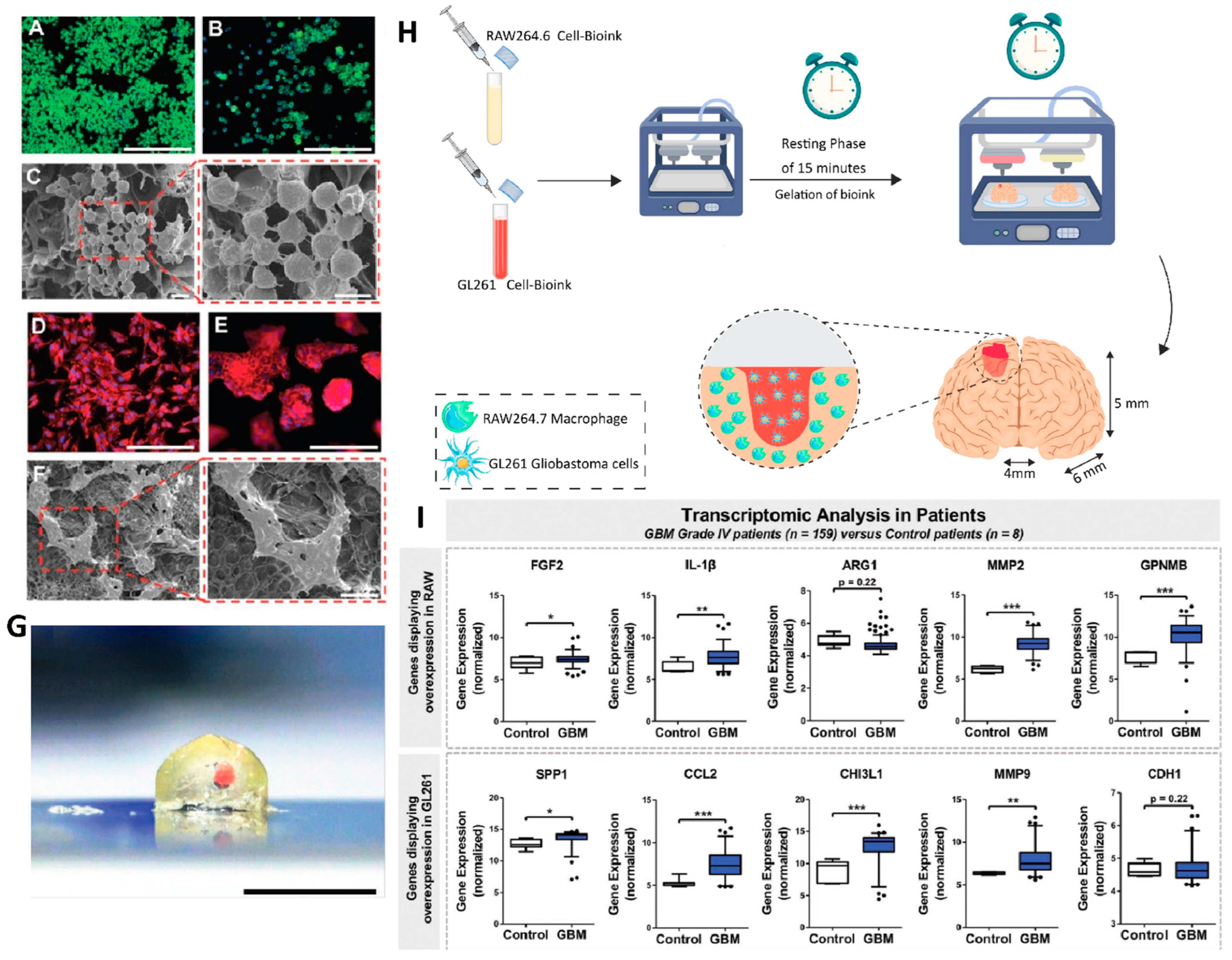 Cancers 14 03698 g010 Cancers 14 03698 g010