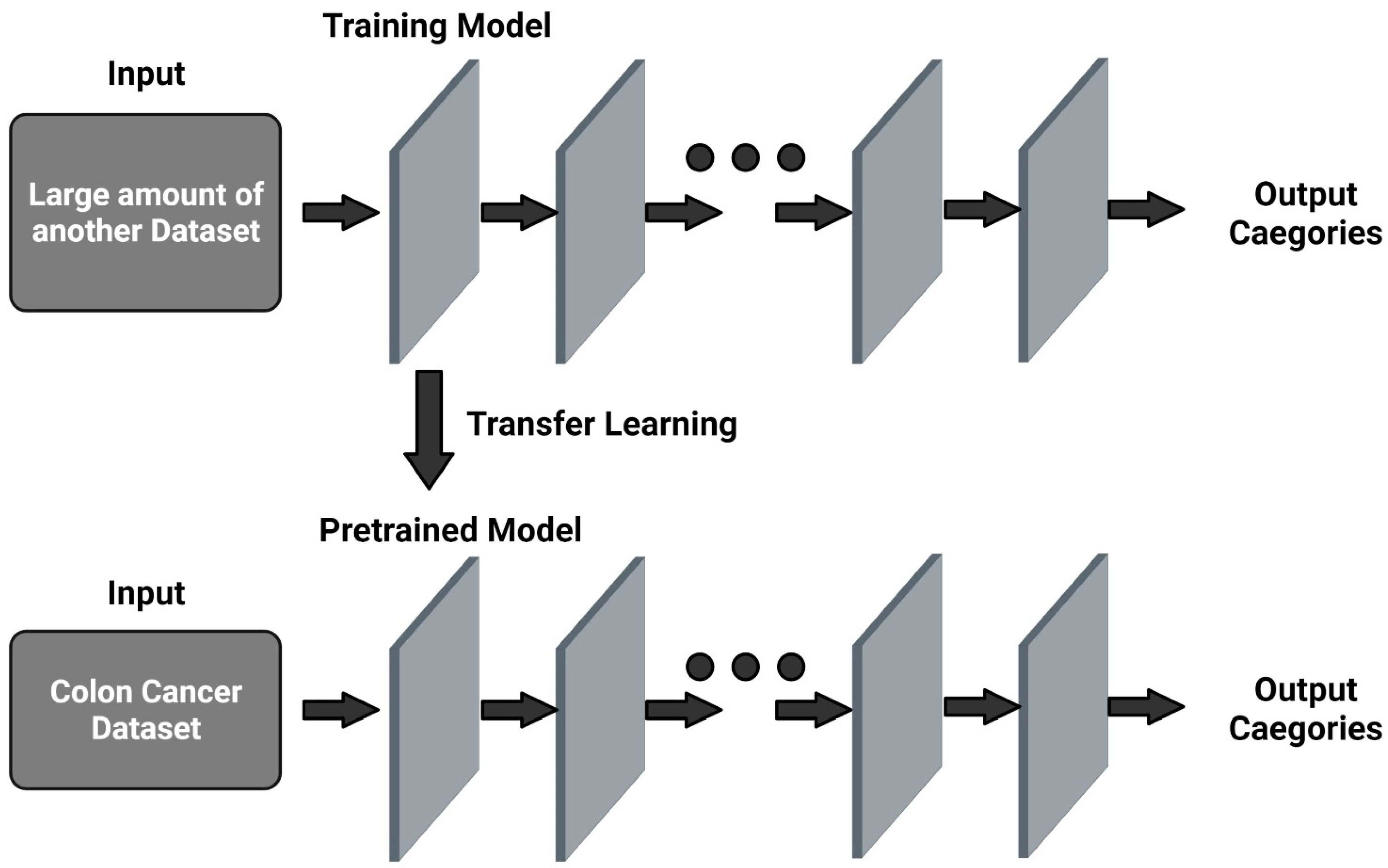 Cancers 14 03707 g002