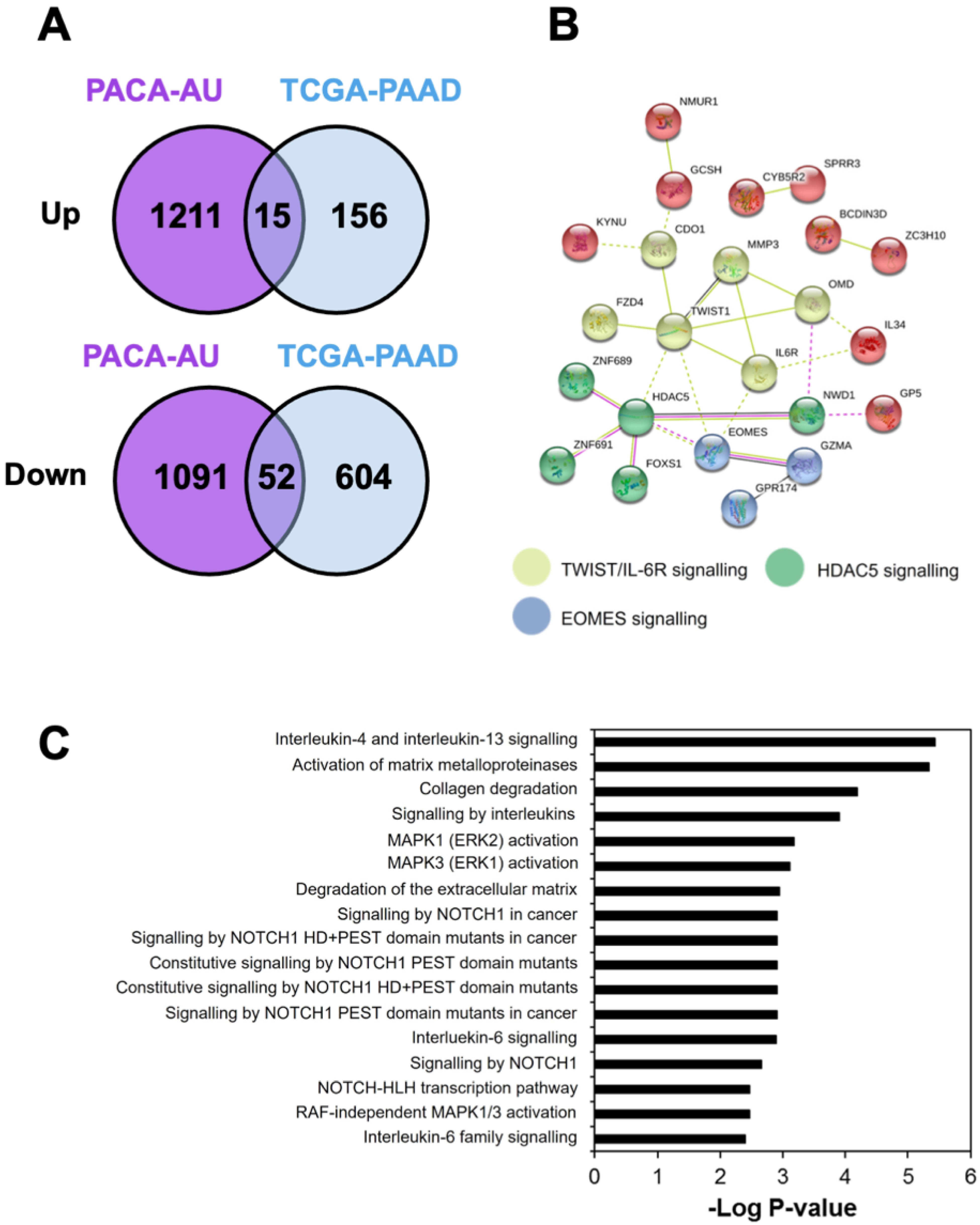 Cancers 14 03709 g002