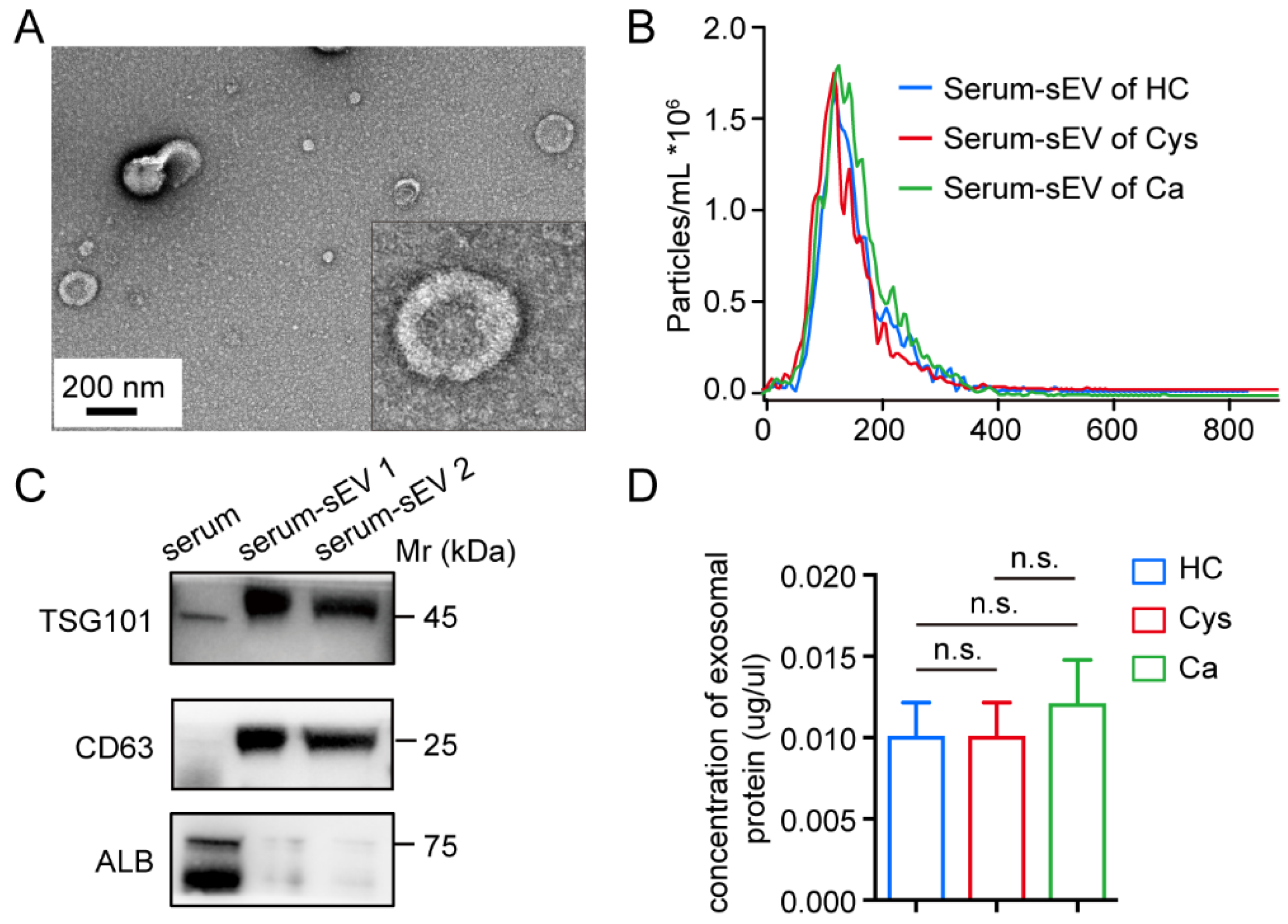 Cancers 14 03719 g002 550