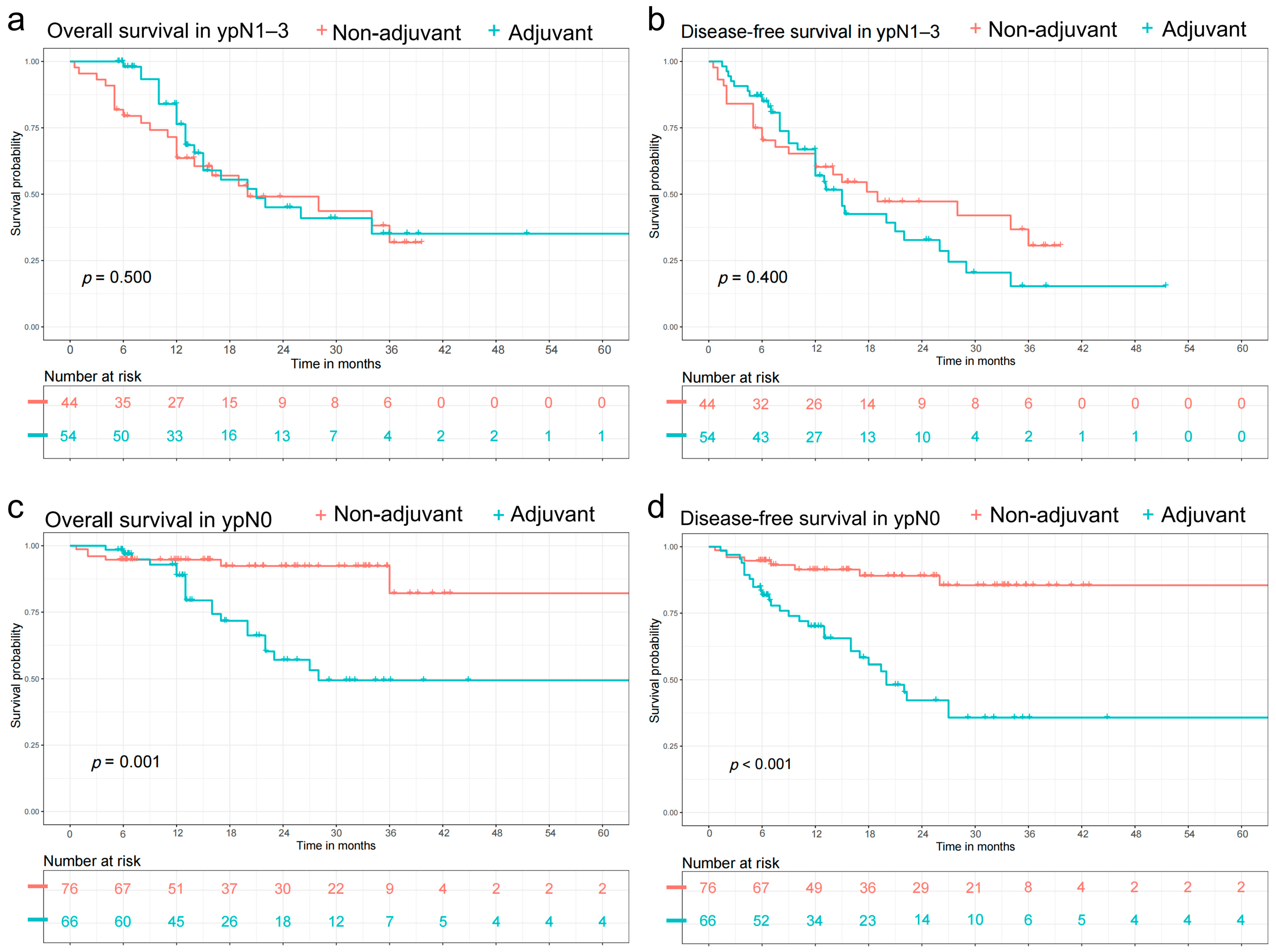 Cancers 14 03721 g003