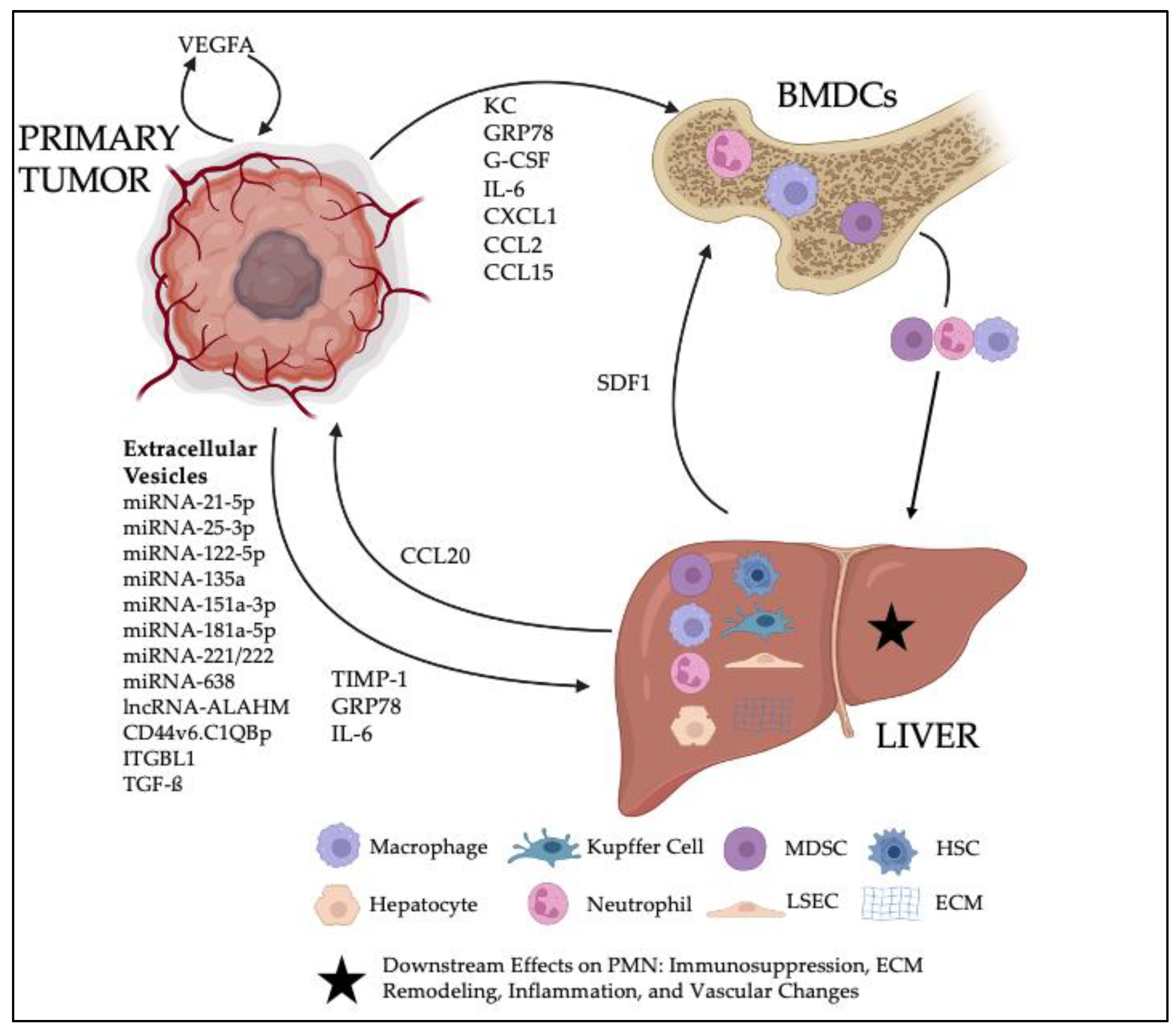 Cancers 14 03731 g001 550