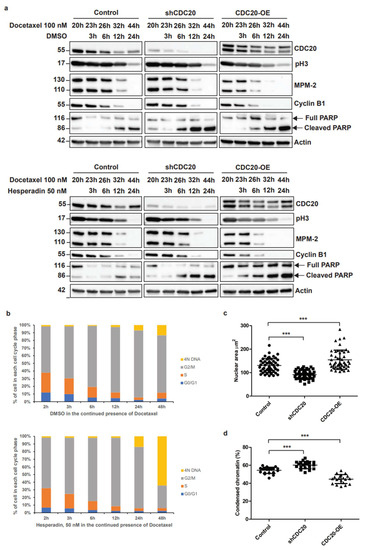 koh 51ORisYfOuL.jpg_BO30,255,255,