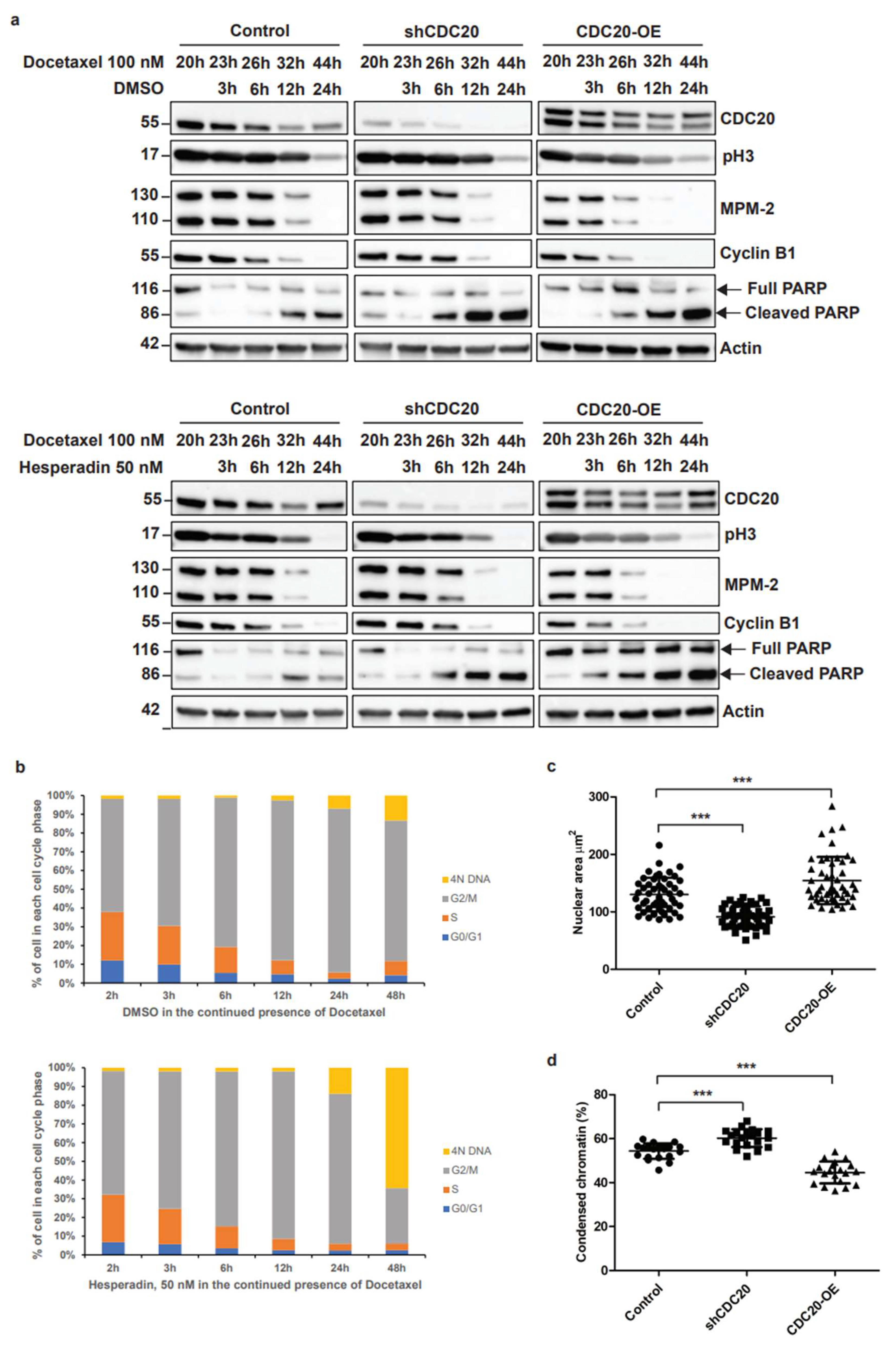 Cancers 14 03732 g002