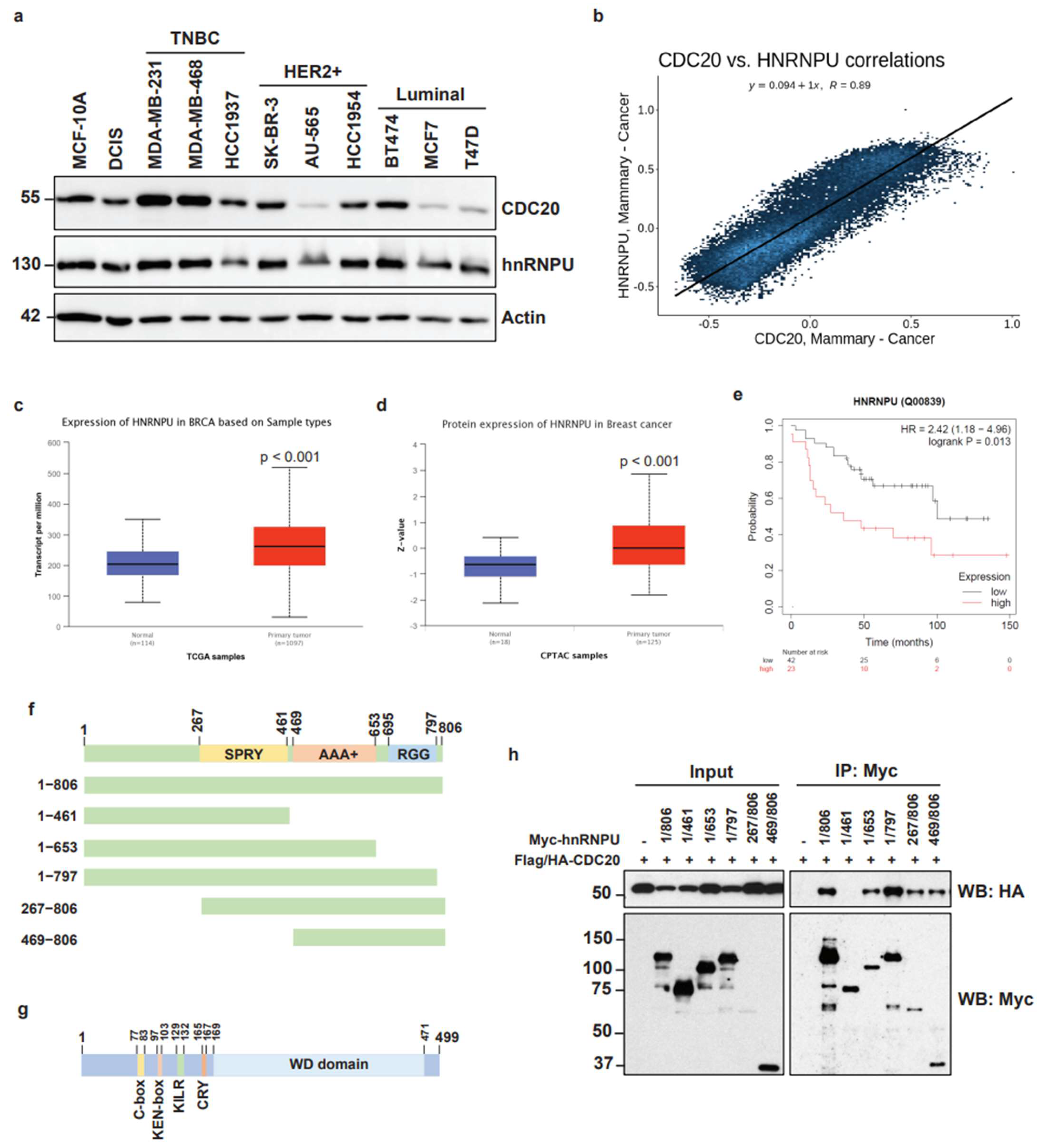 Cancers 14 03732 g004