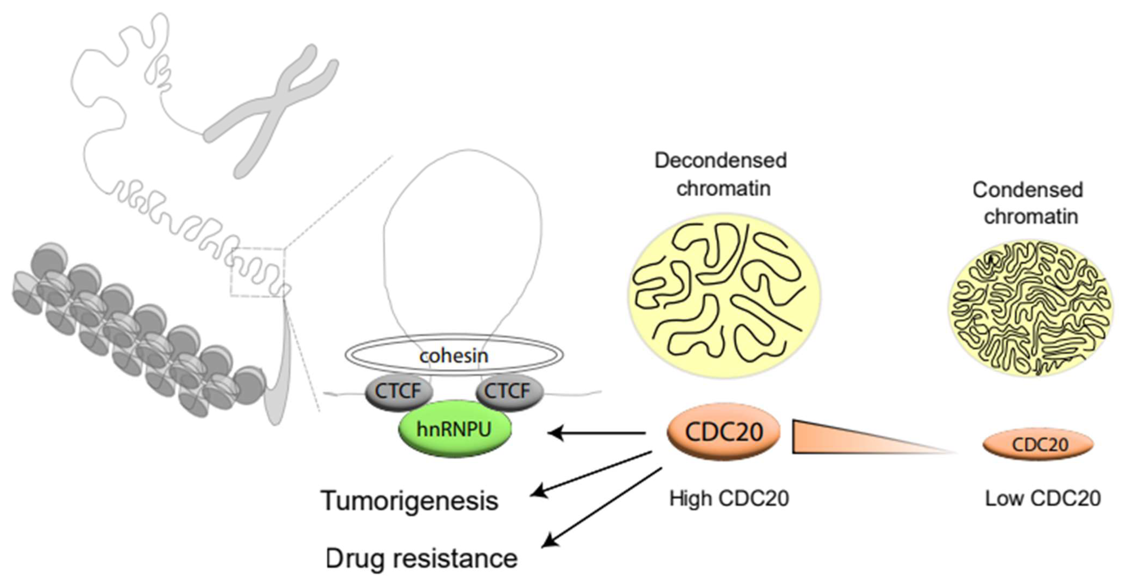 Cancers 14 03732 g007